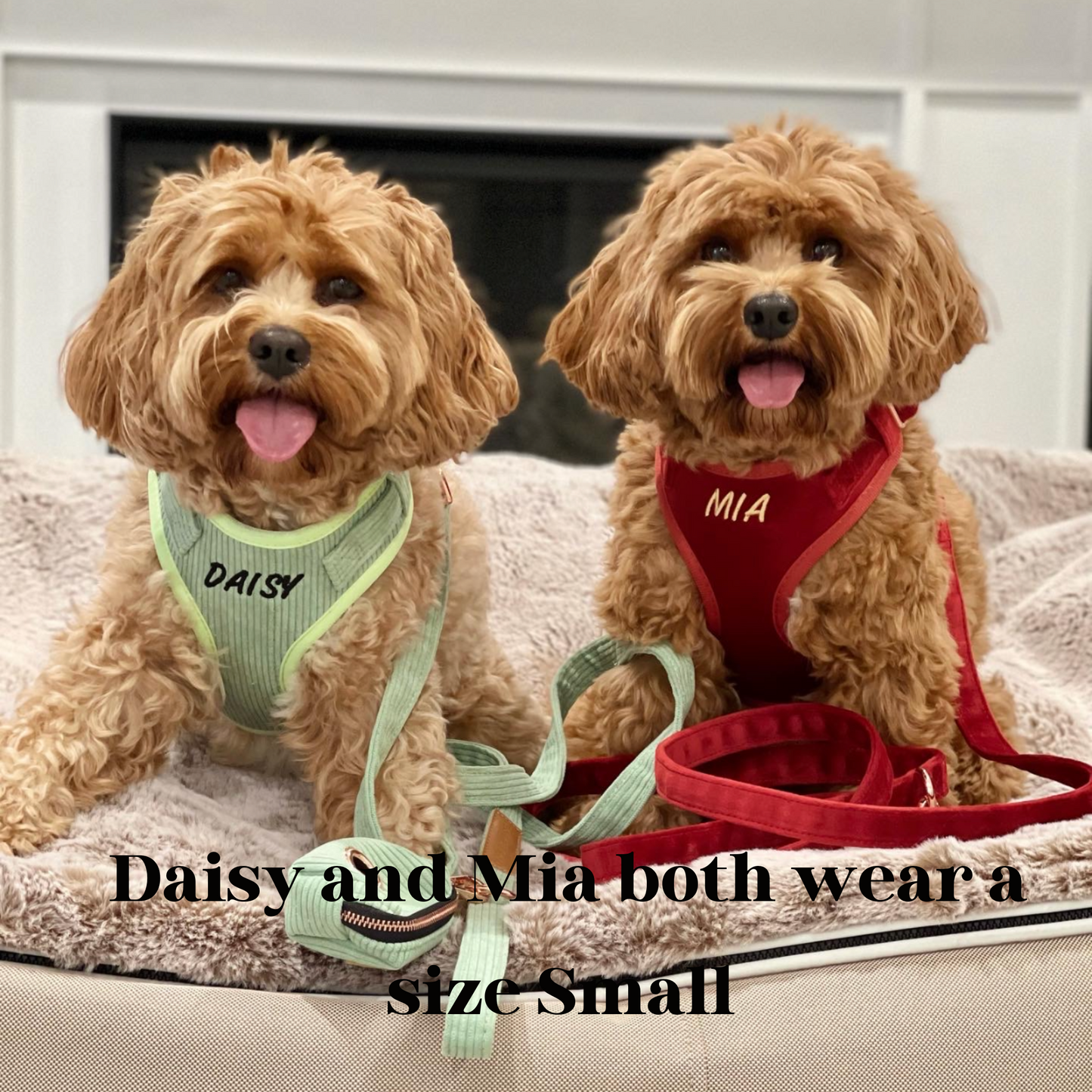 Addison Red Velvet Luxury Harness