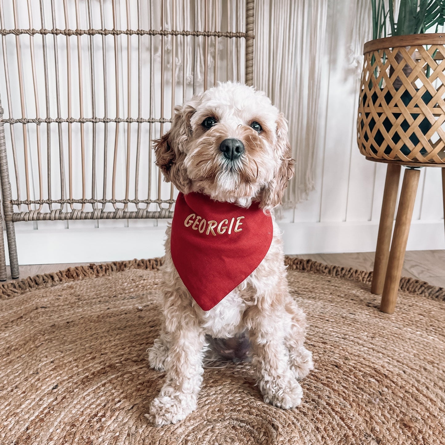 personalised dog bandana