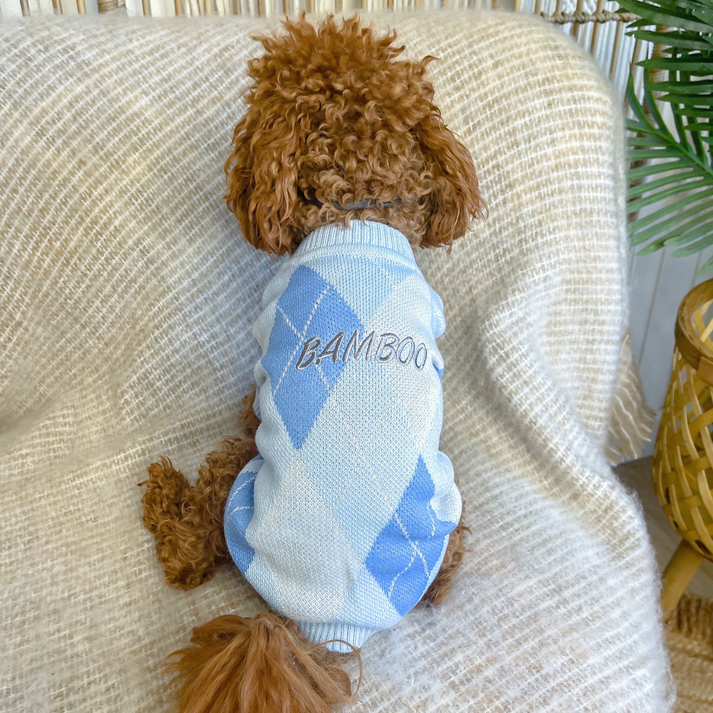 Archer Blue Personalised Dog Cardigan