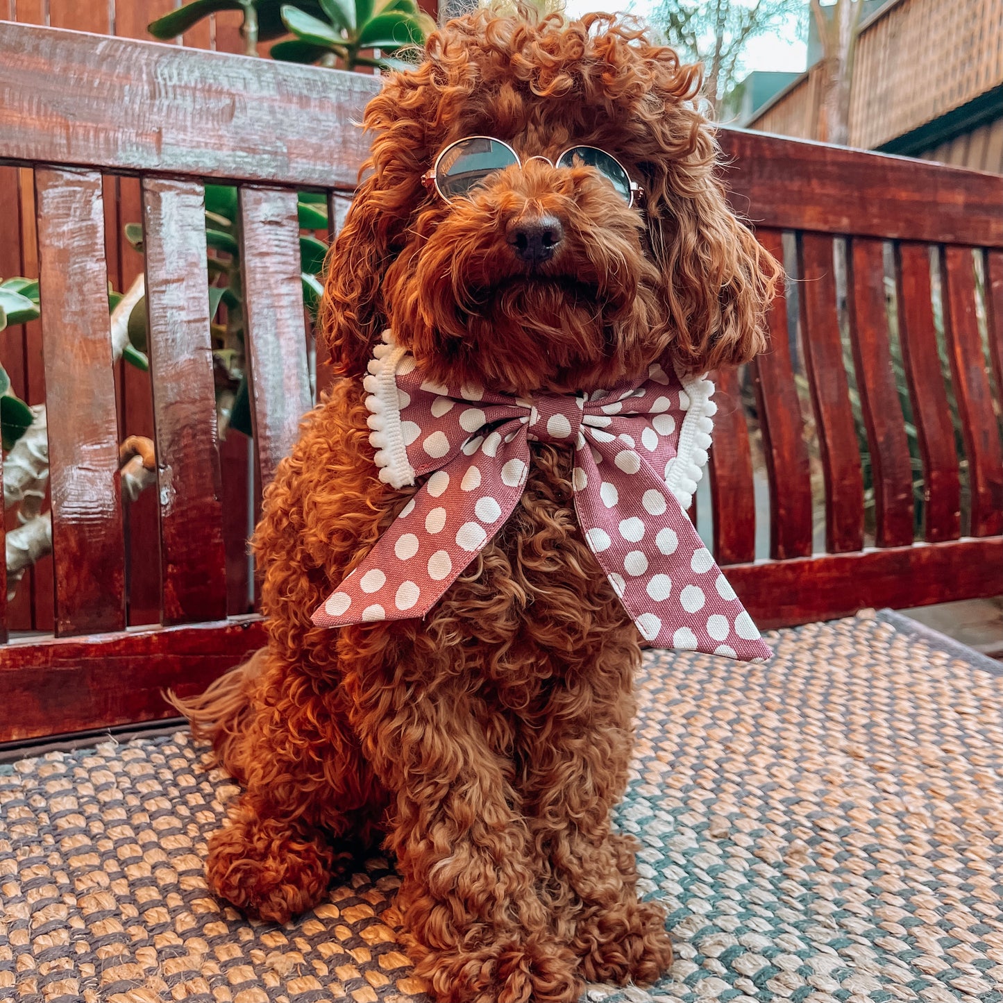 luxury dog bow clothes