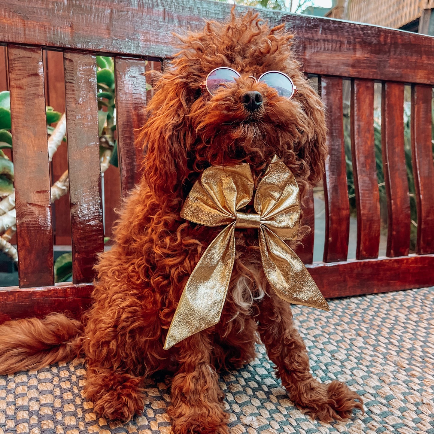 gold dog christmas bow