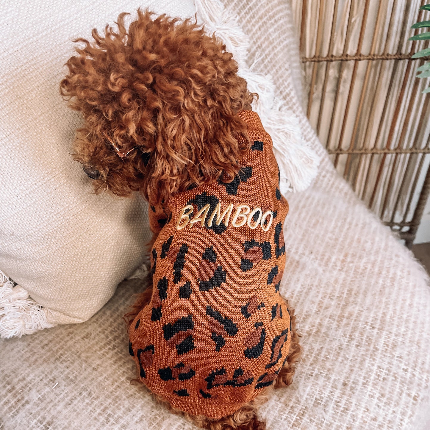 Dawson Personalised Dog Cardigan