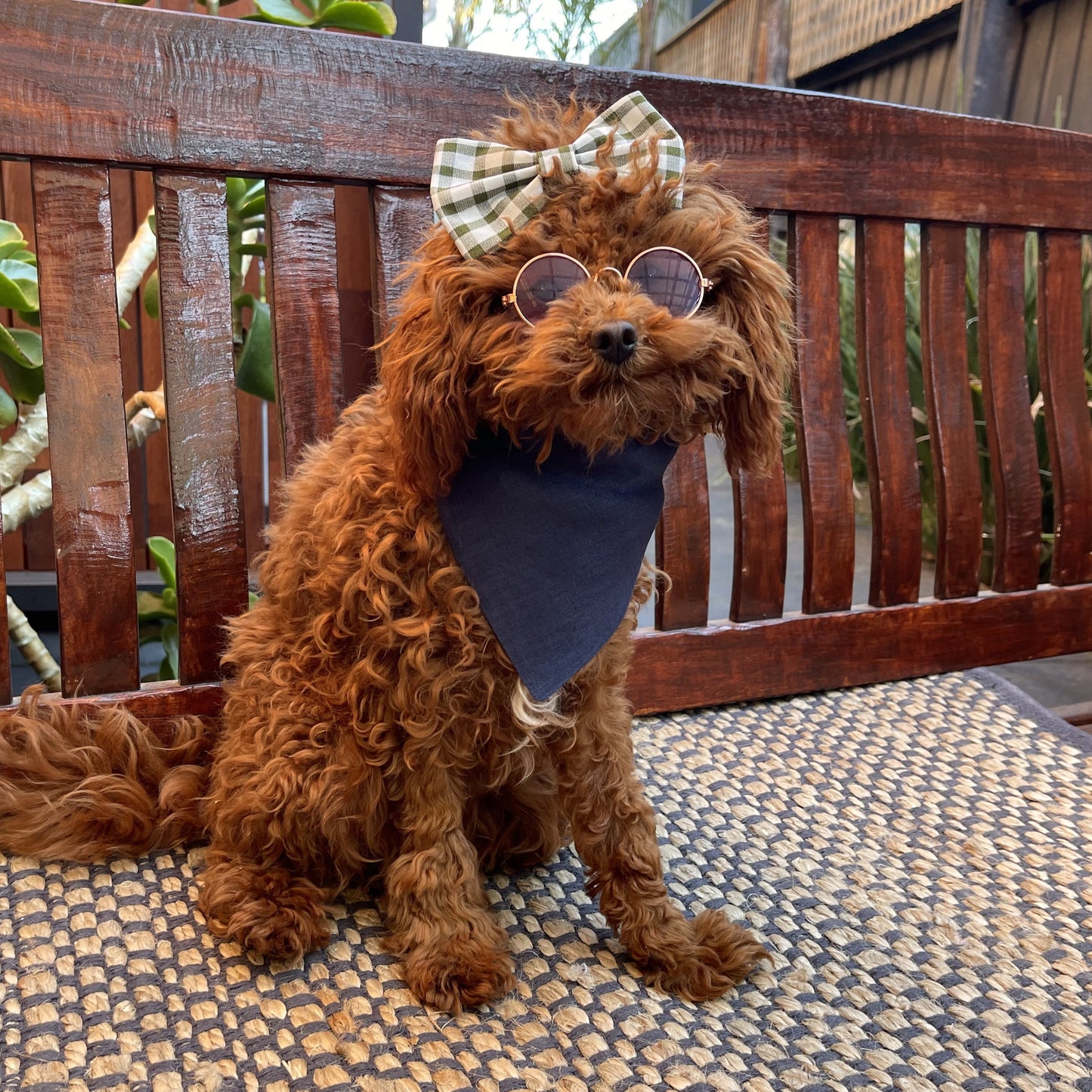 navy blue dog bandana