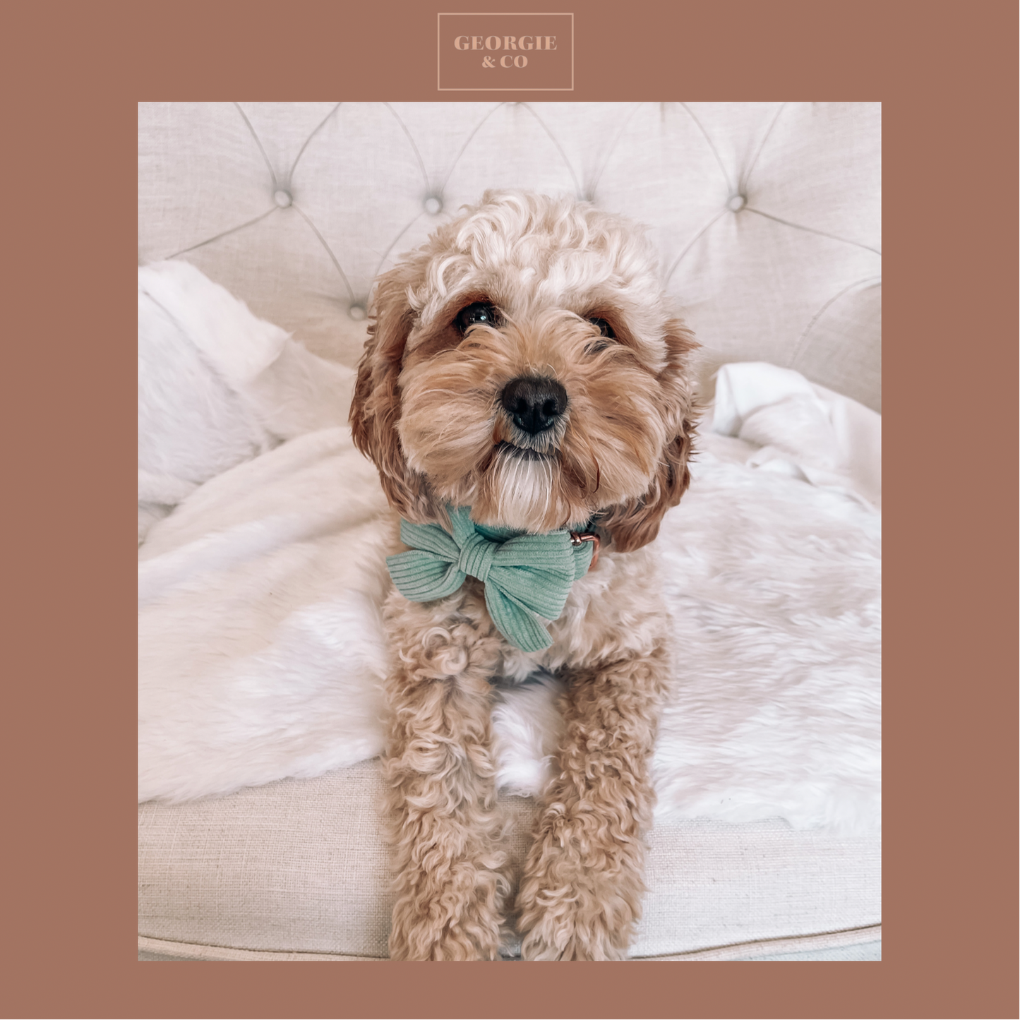 Luxury Keaton Luxury Green Corduroy Sailor Bow Tie