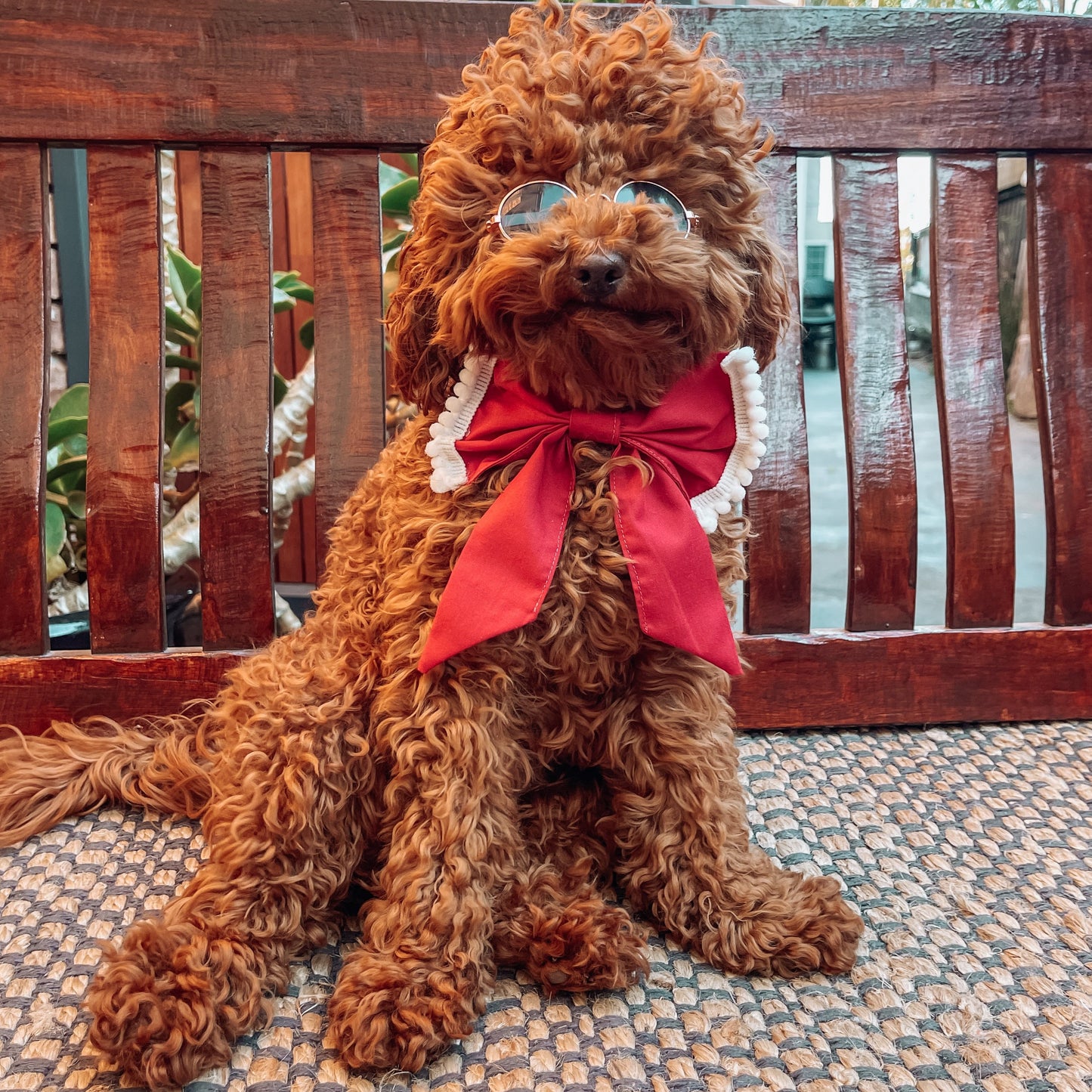 Imogen Bow with Trim