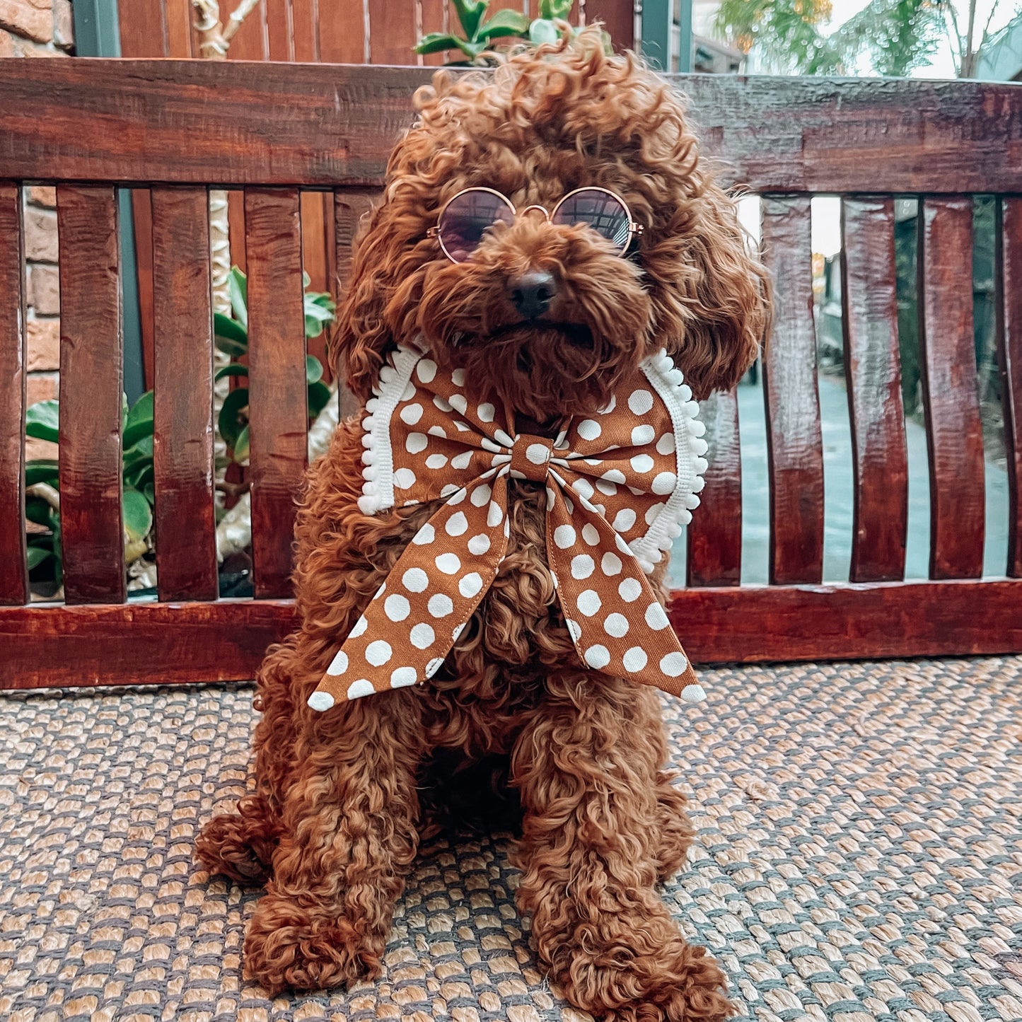 boho dog sailor bow
