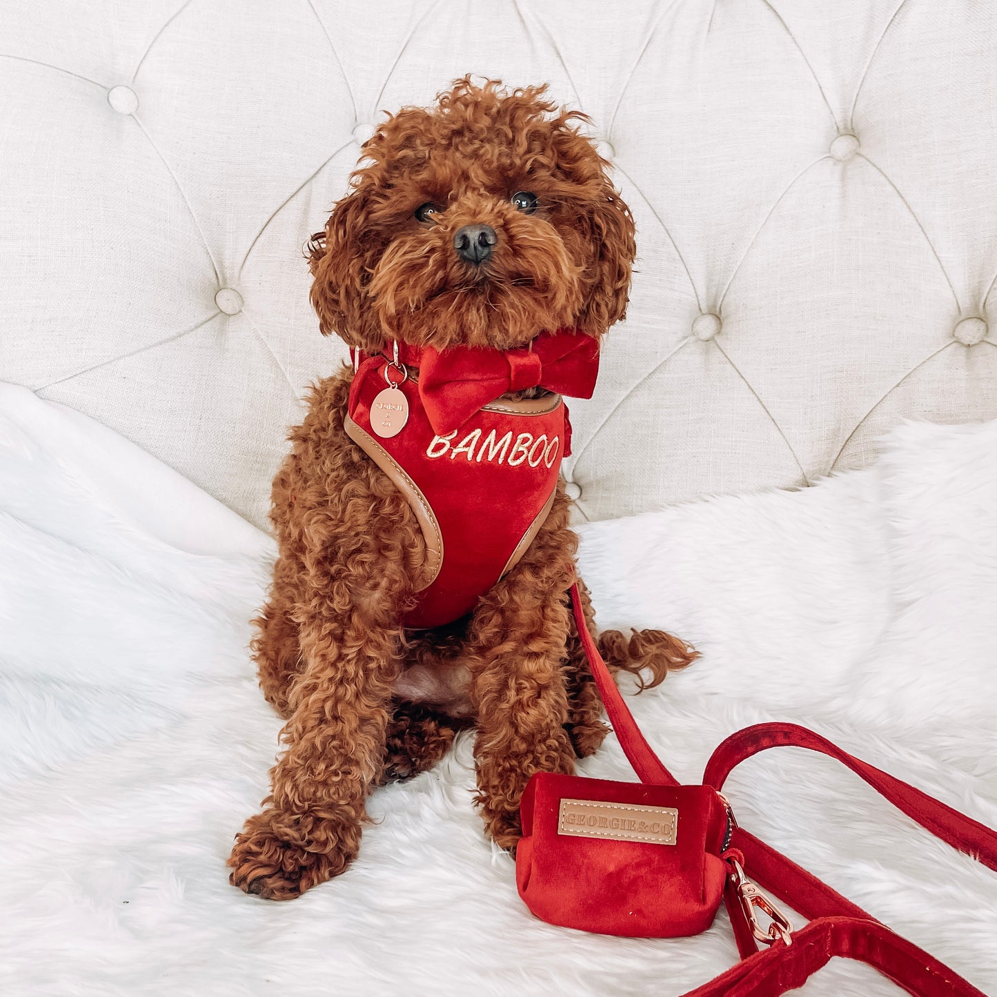 Sadie Luxury Red Velvet Personalised Harness Set with Leather Trim