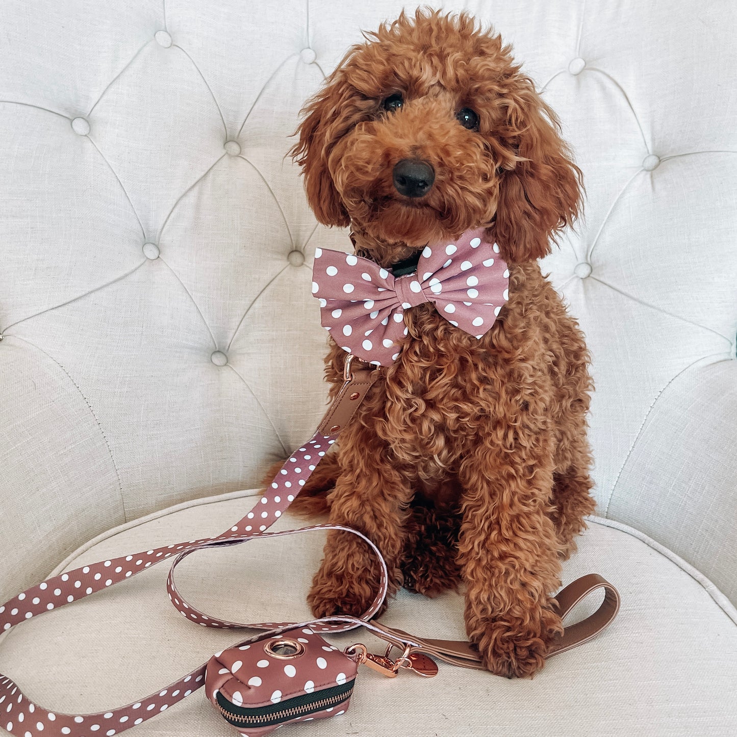 Brantley Polka Dot Collar Set