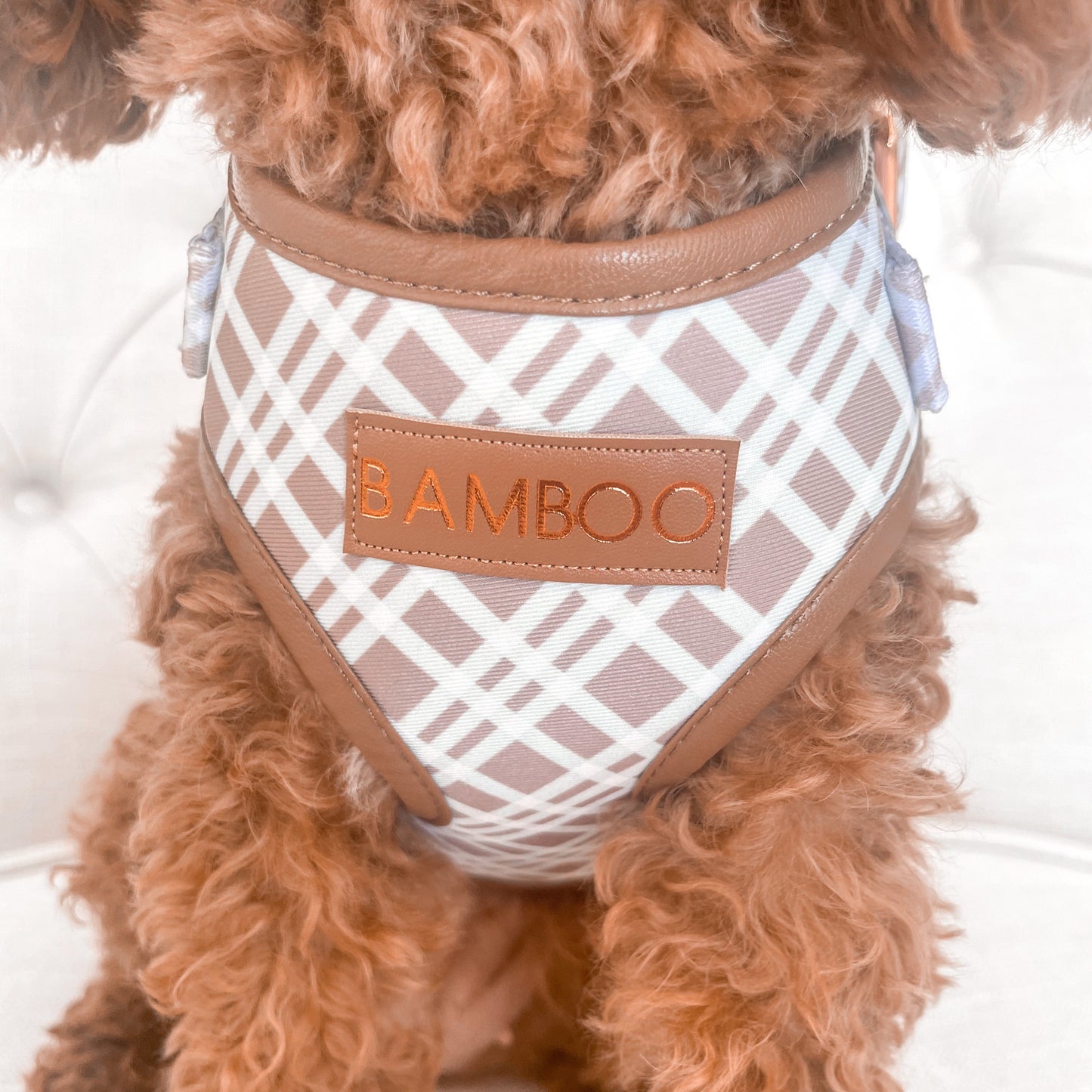 Arlo Tartan Luxury Harness