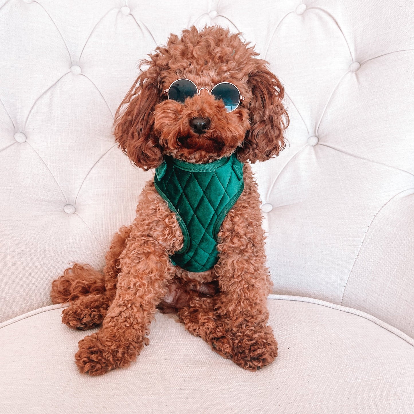 Frankie Luxury Green Velvet Harness Set