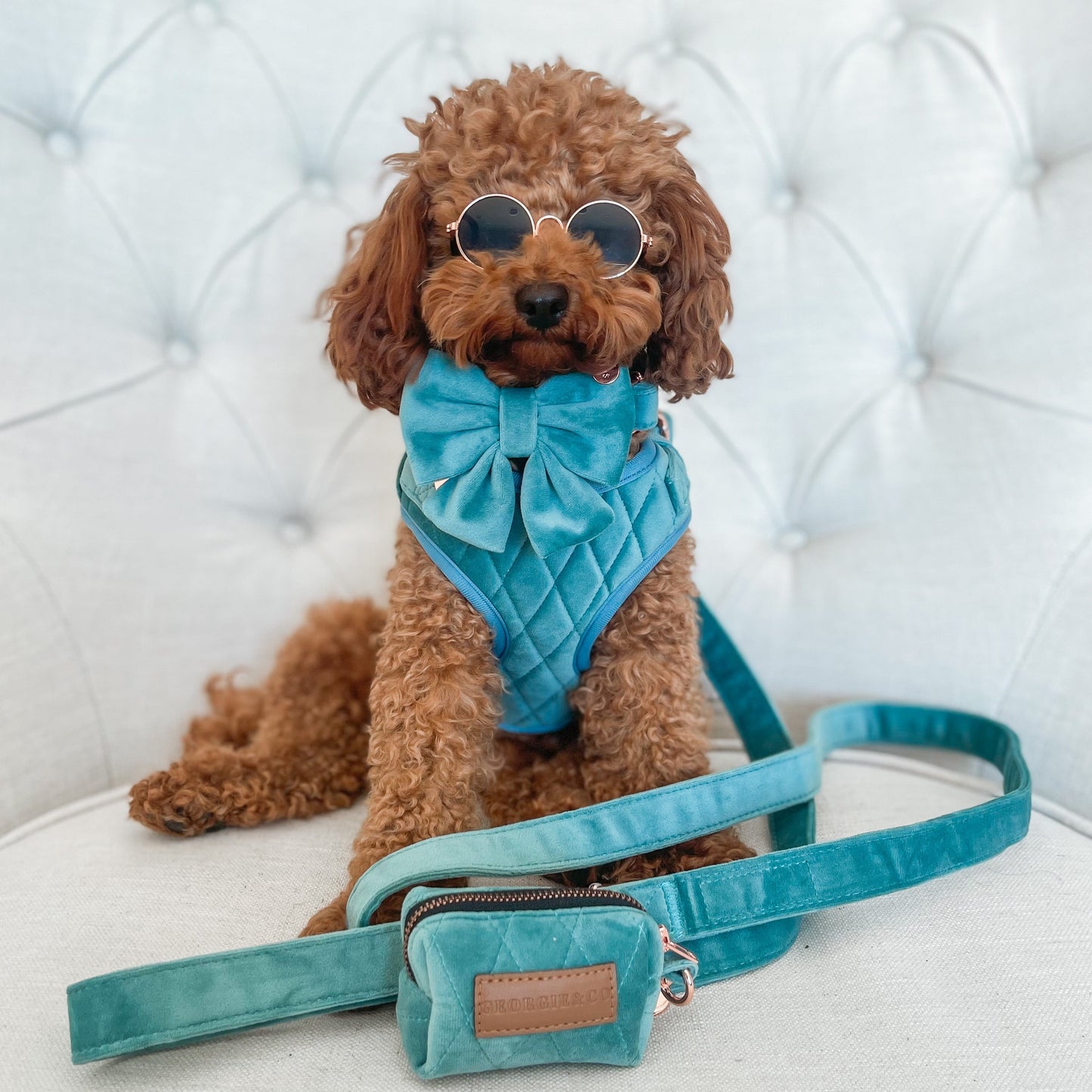 Hayden Luxury Blue Velvet Harness Set