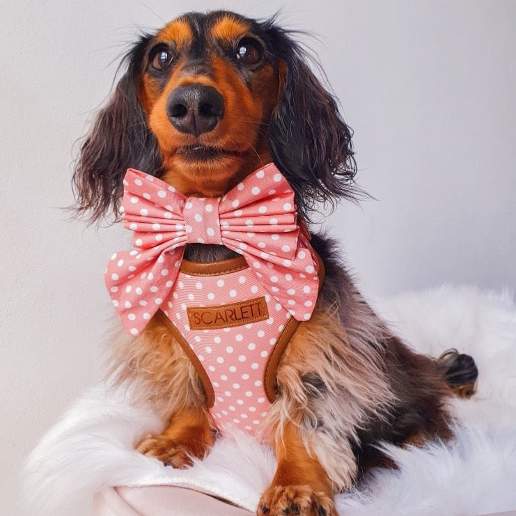 Melody Polka Dot Print Harness