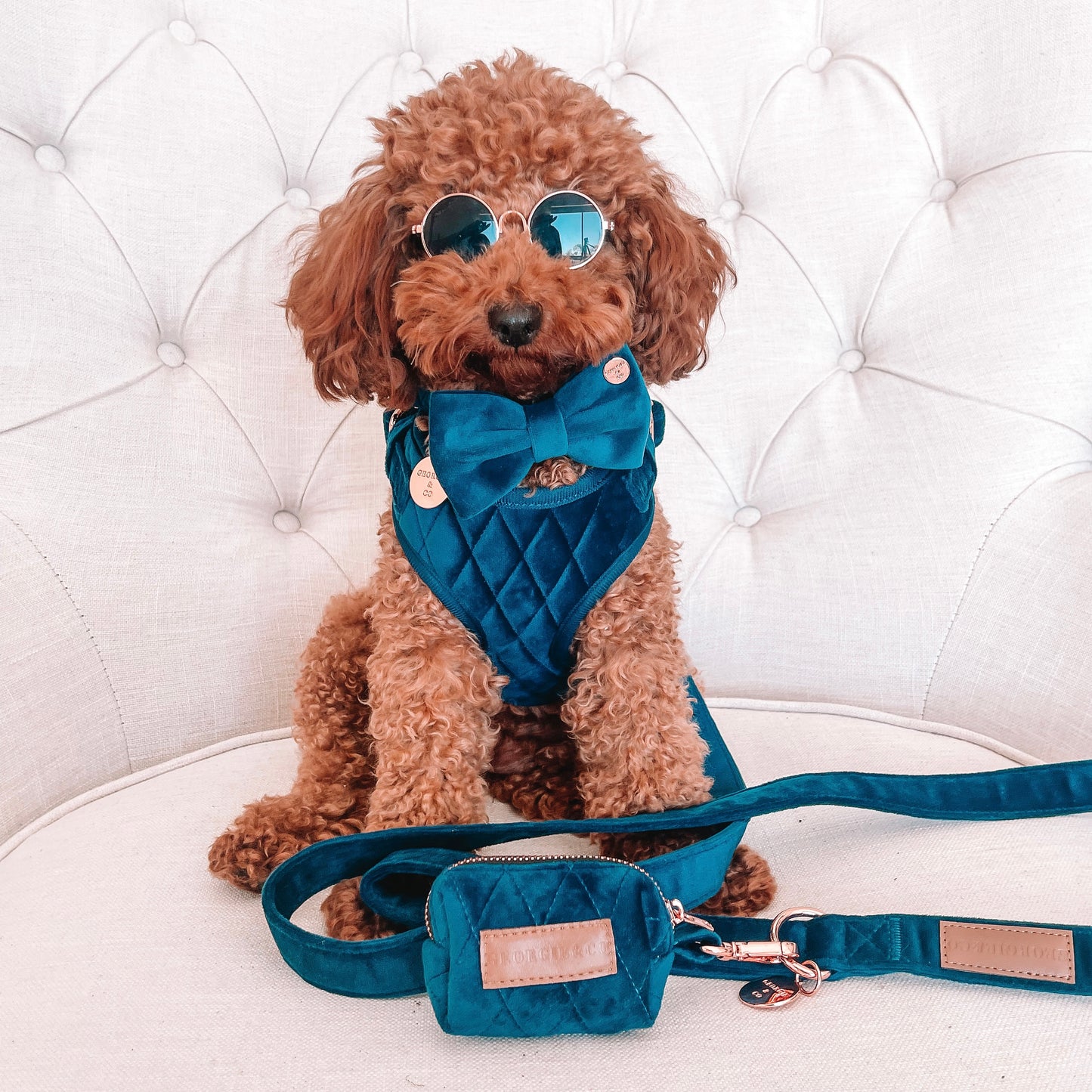 Karter Luxury Navy Blue Velvet Harness Set