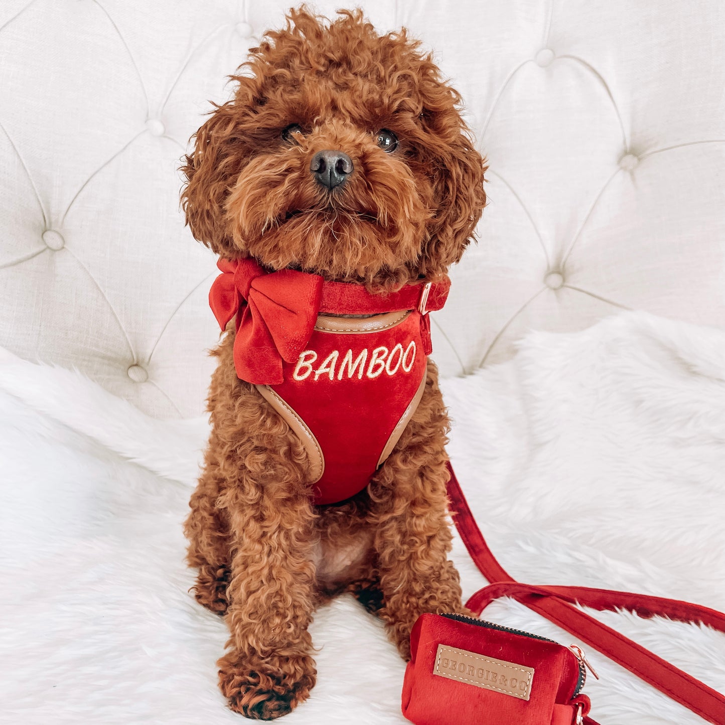 Sadie Luxury Red Velvet Personalised Harness Set with Leather Trim