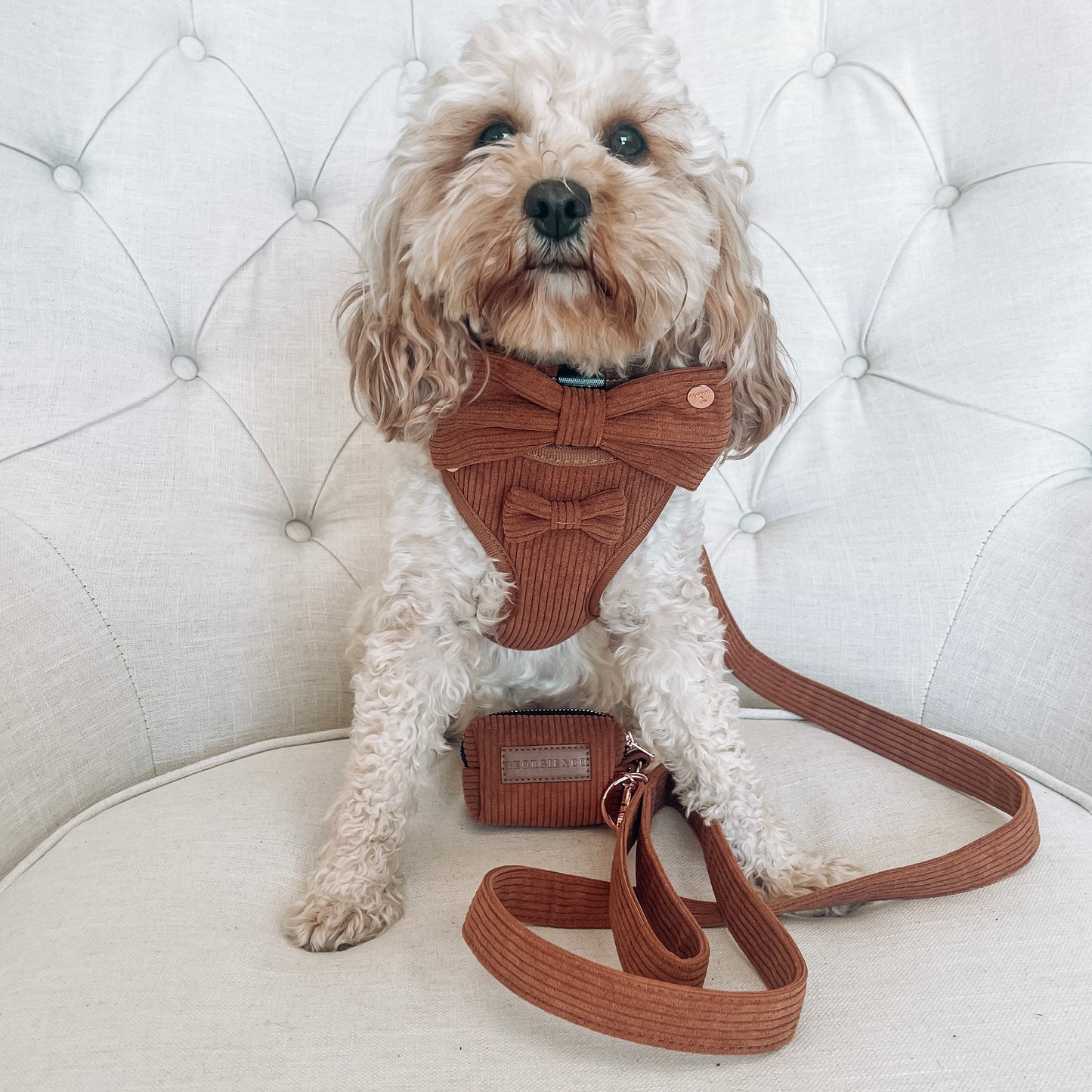 Todo Luxury Brown Corduroy Harness Set