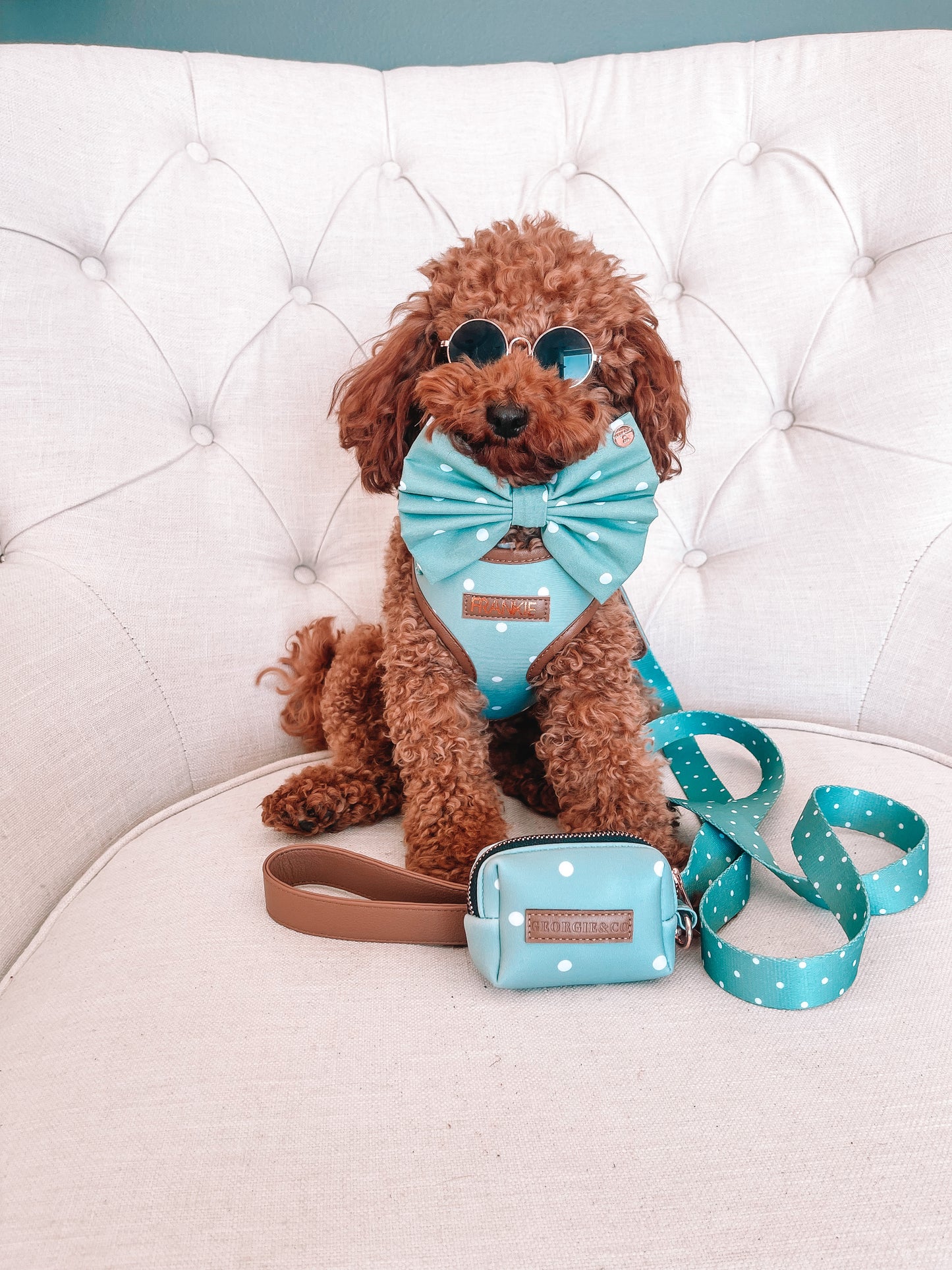 Mika Polka Personalized Harness Set