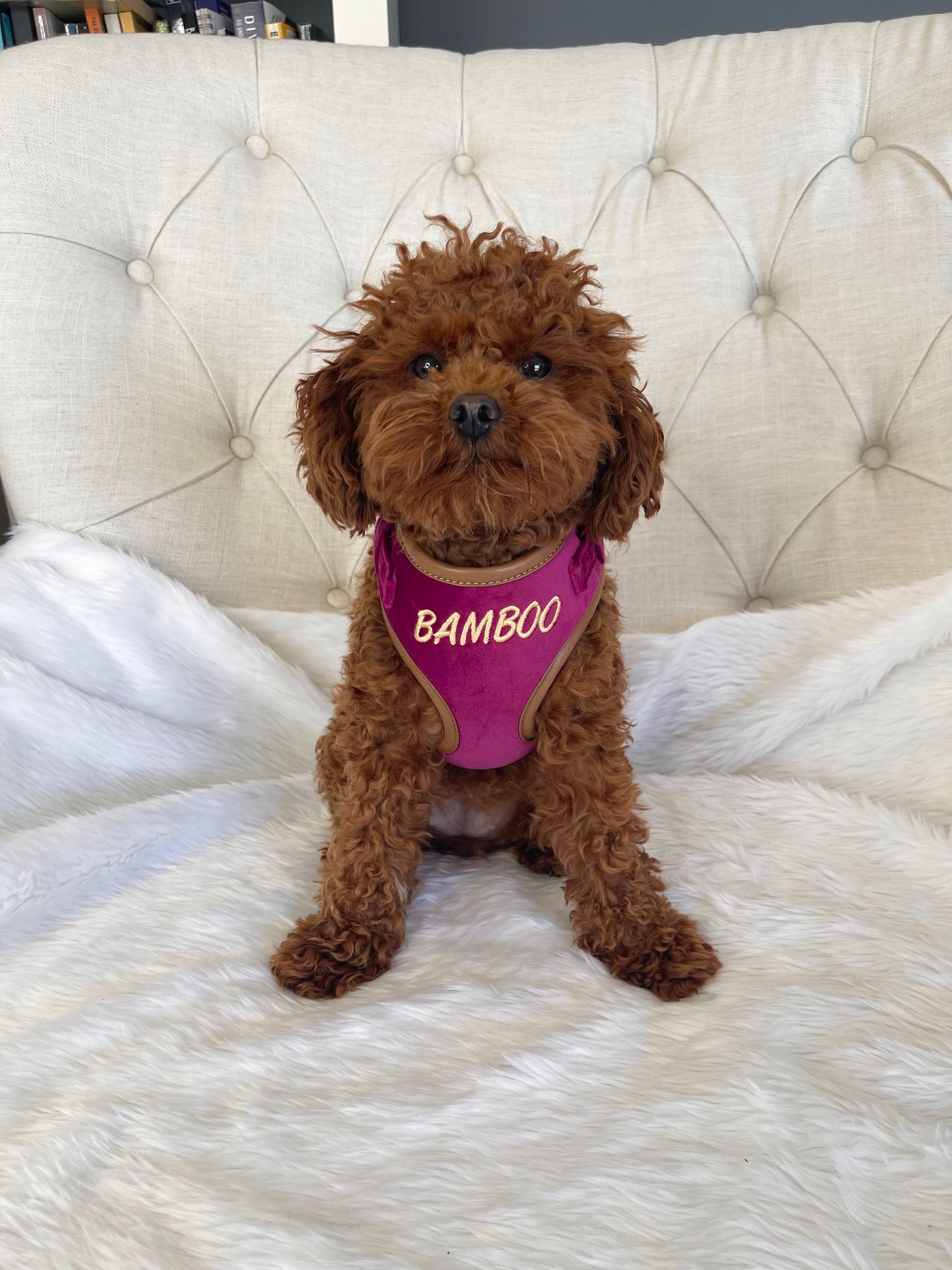 Layla Fuchsia Velvet Luxury Harness