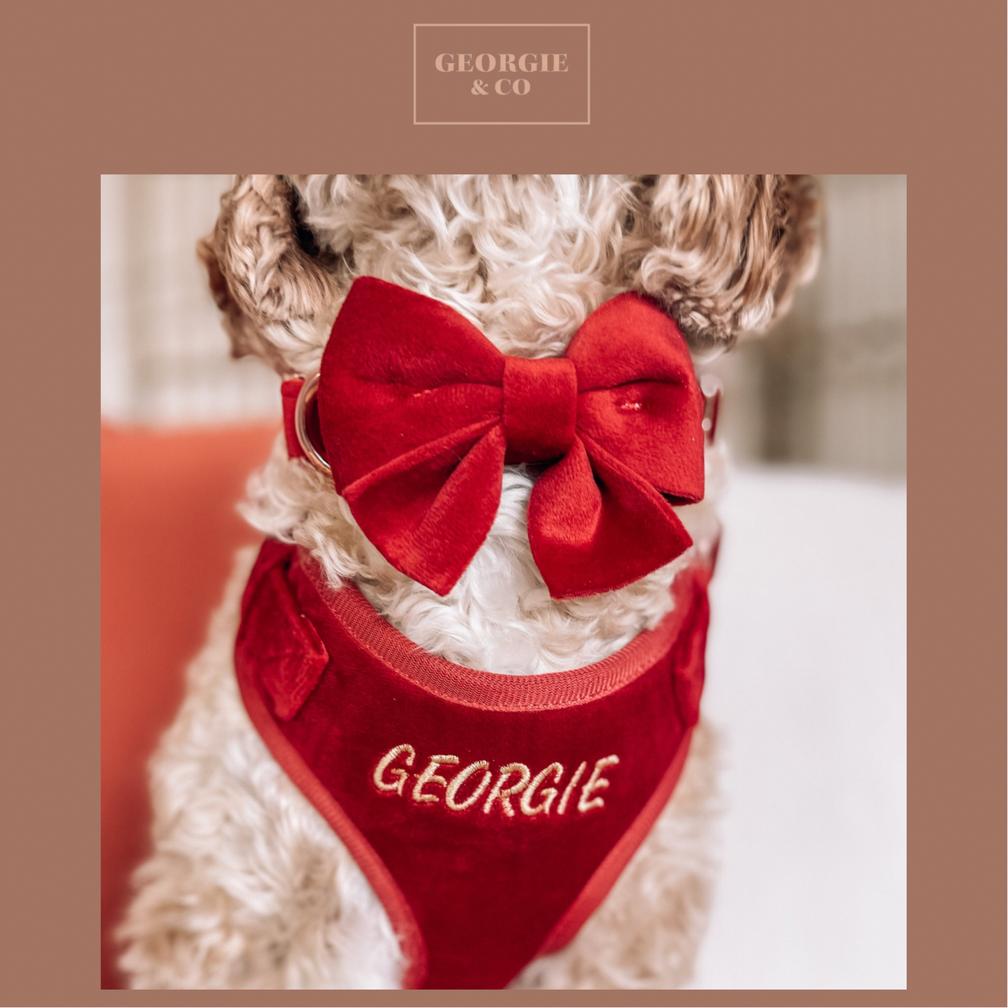 Addison Luxury Red Velvet Personalised Harness Set