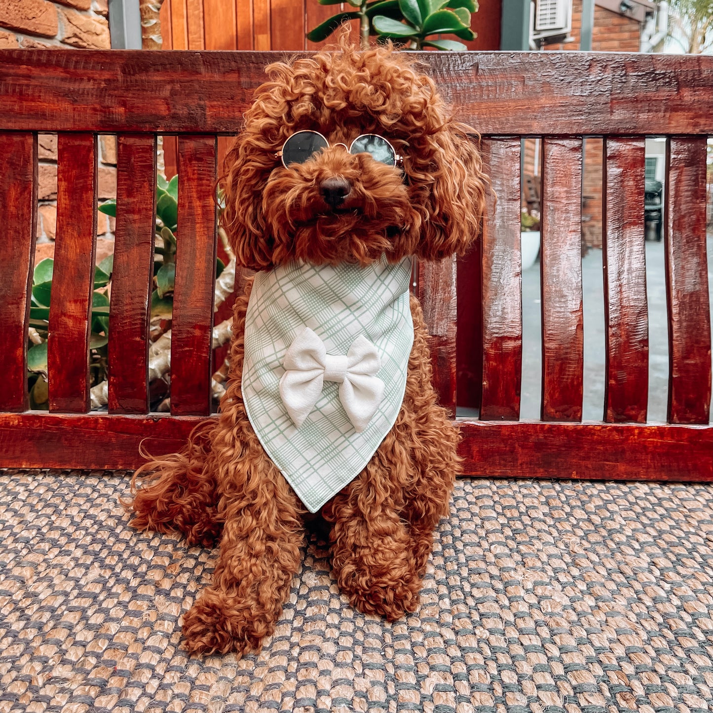 Charlie Green/White Triangle Bandana with Bow