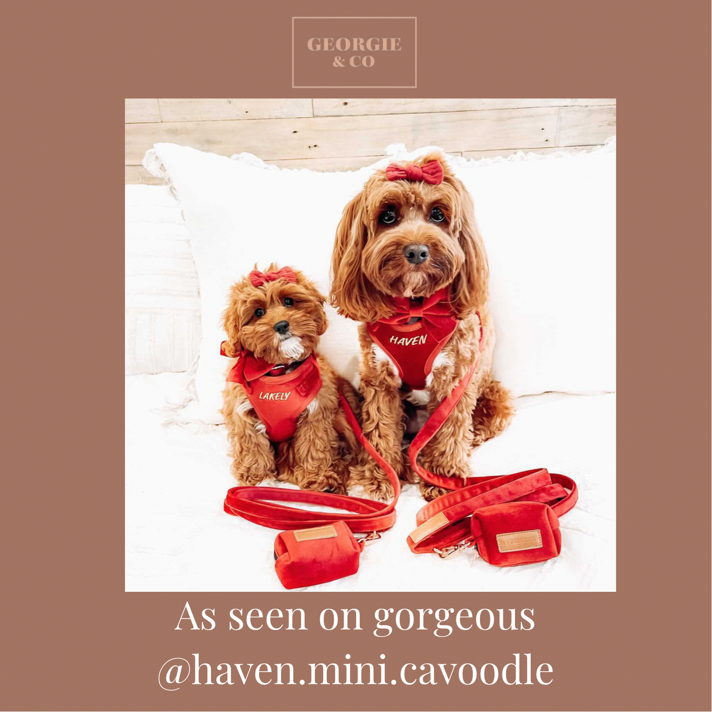 Addison Luxury Red Velvet Personalised Harness Set