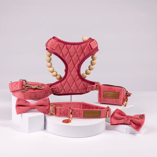 Gigi Luxury Pink Velvet Harness Set