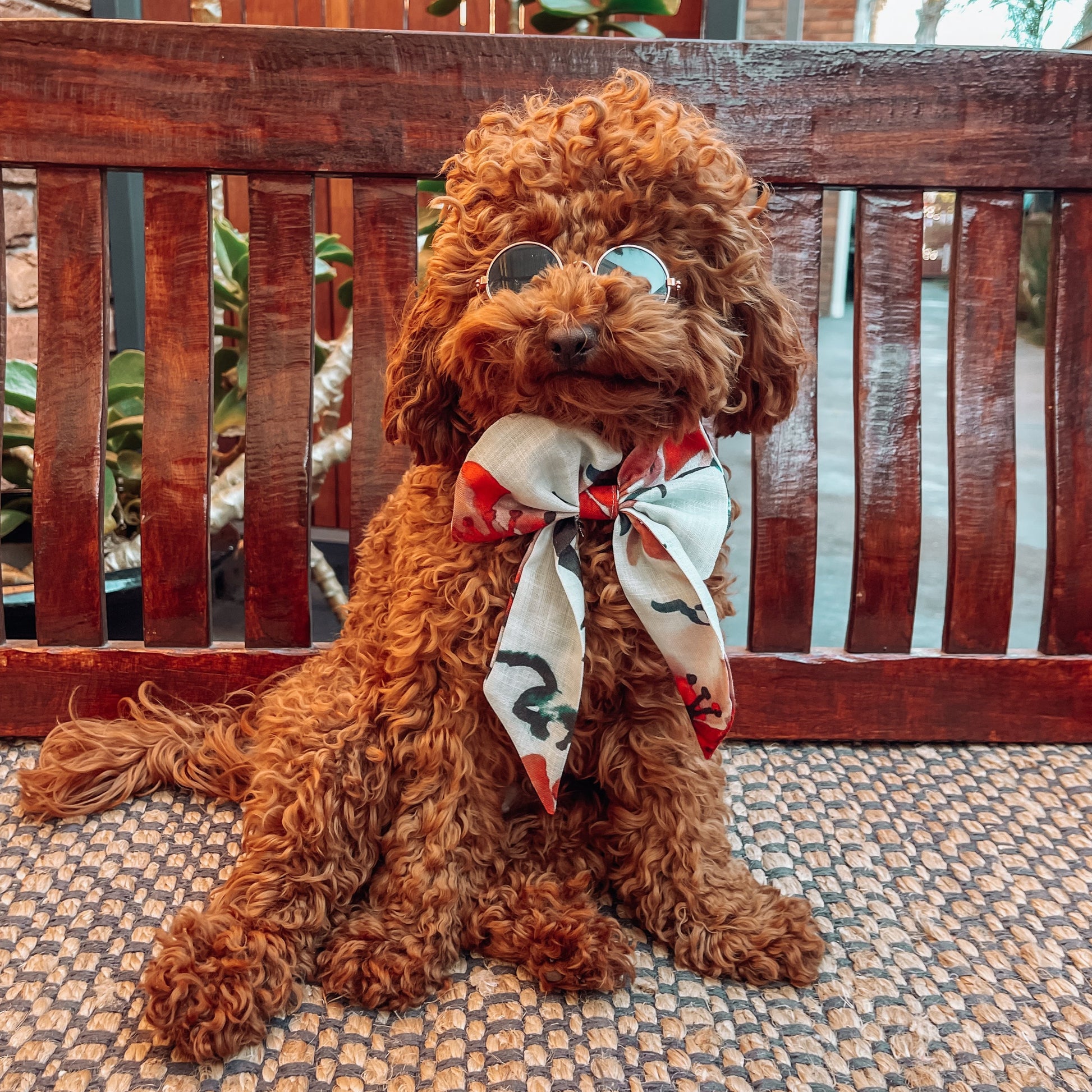 floral sailor bow tie dog 