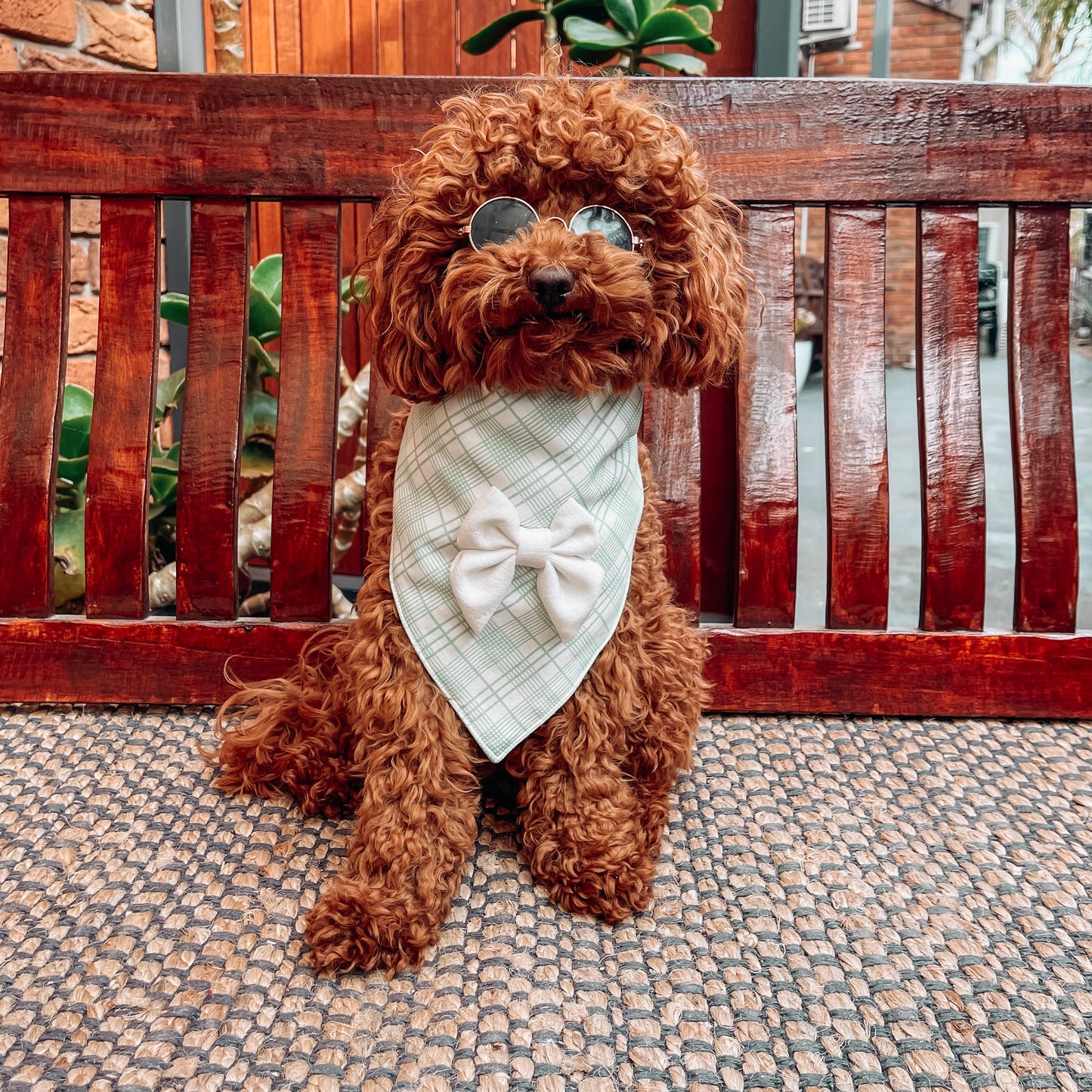 Charlie Green/White Triangle Bandana with Bow