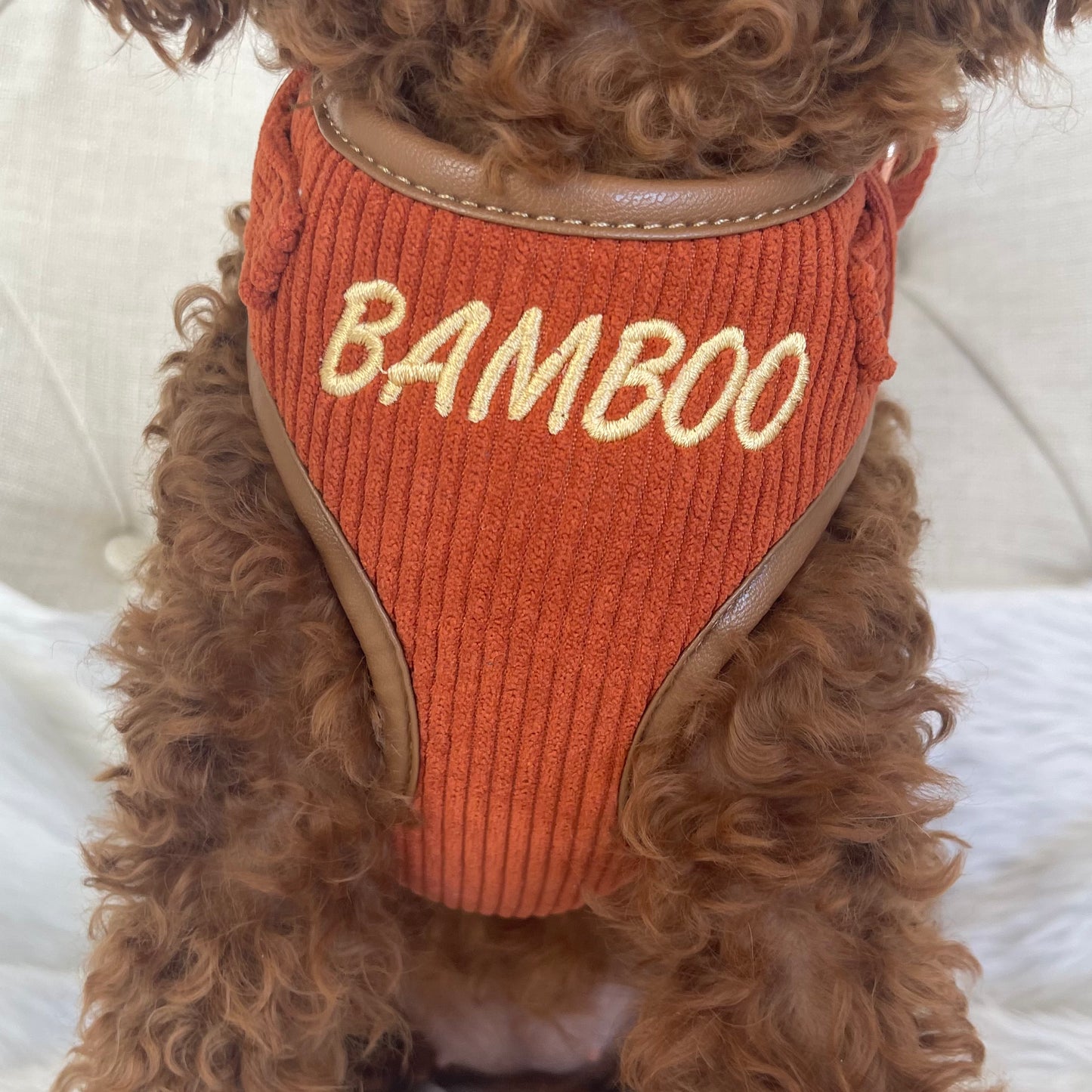 Hadley Rusty Orange  Corduroy Luxury Harness with Leather Trim