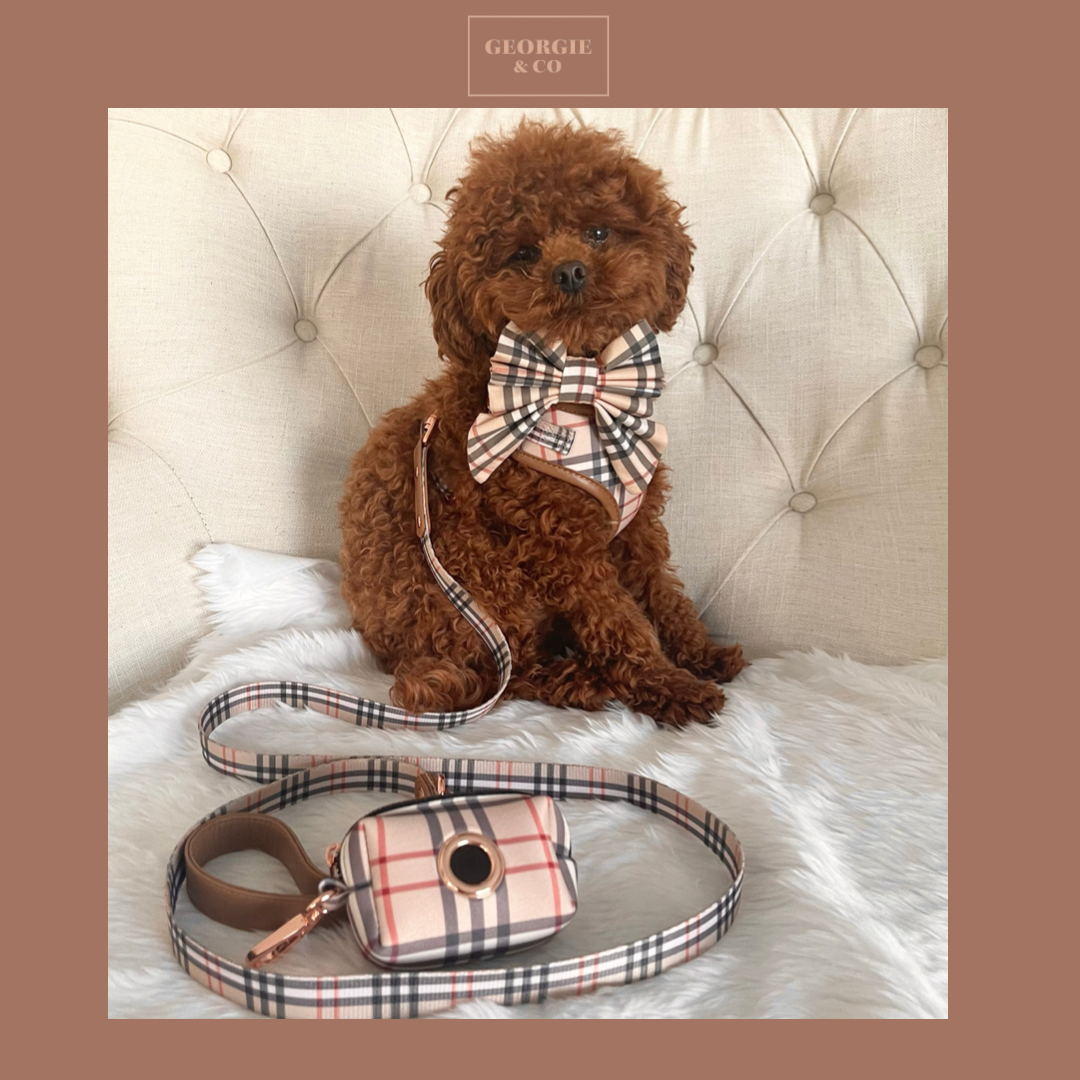 Shiloh Tartan Personalised Harness Set