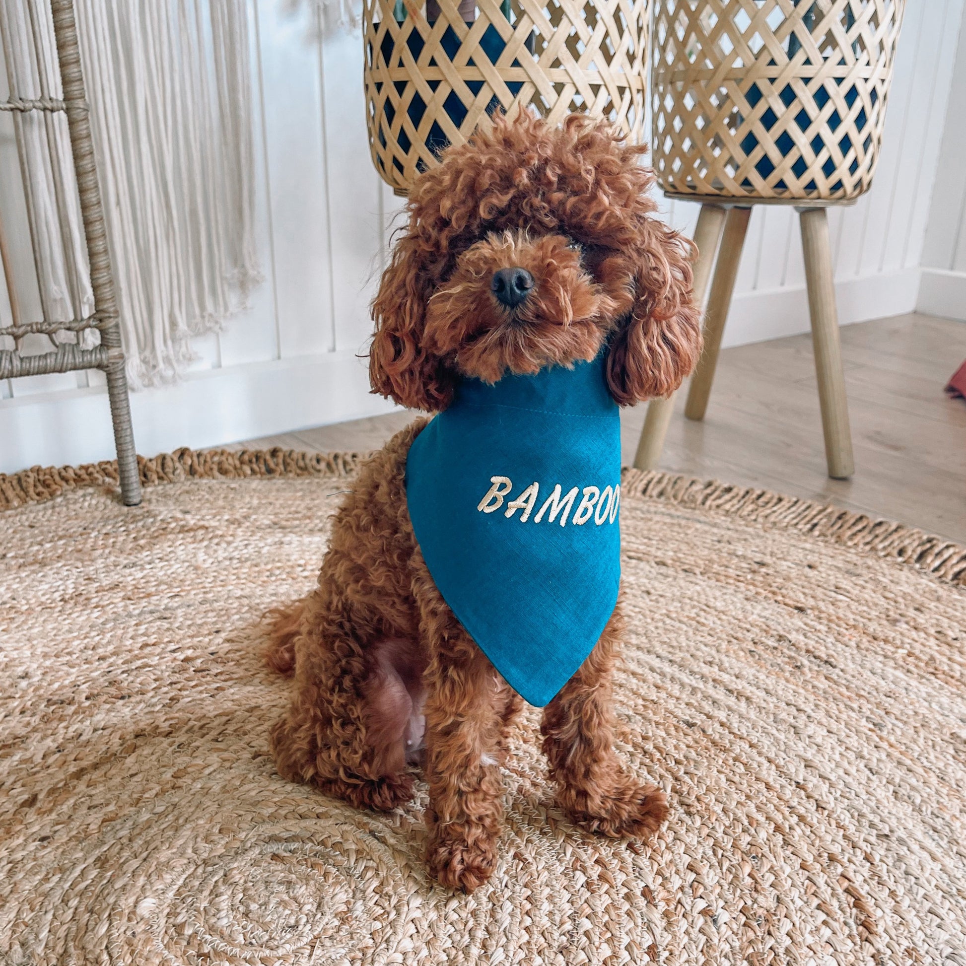 personalised dog bandana 