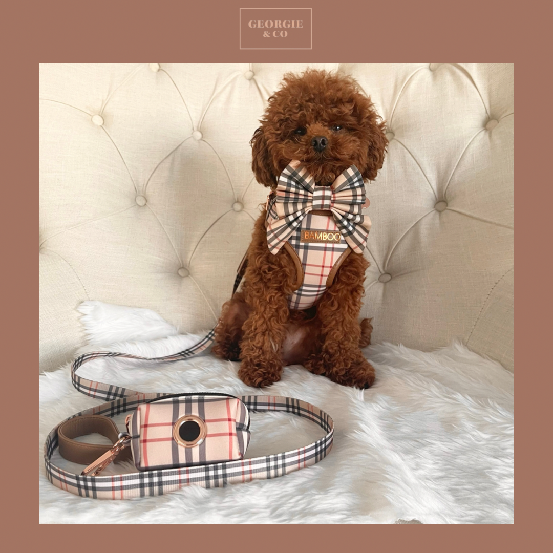 Shiloh Tartan Personalised Harness Set