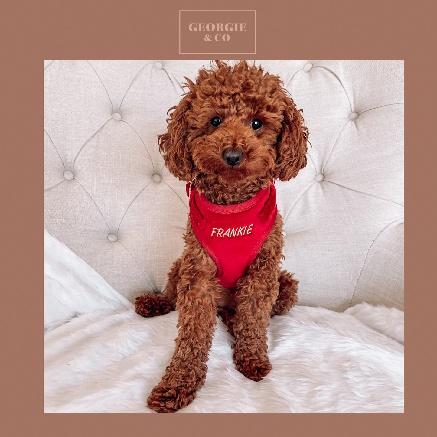 Addison Luxury Red Velvet Personalised Harness Set