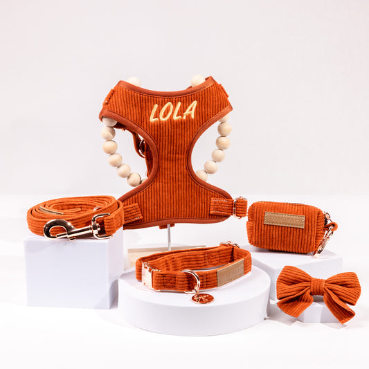 Hadley Luxury Rusty Orange Corduroy Personalised Harness Set