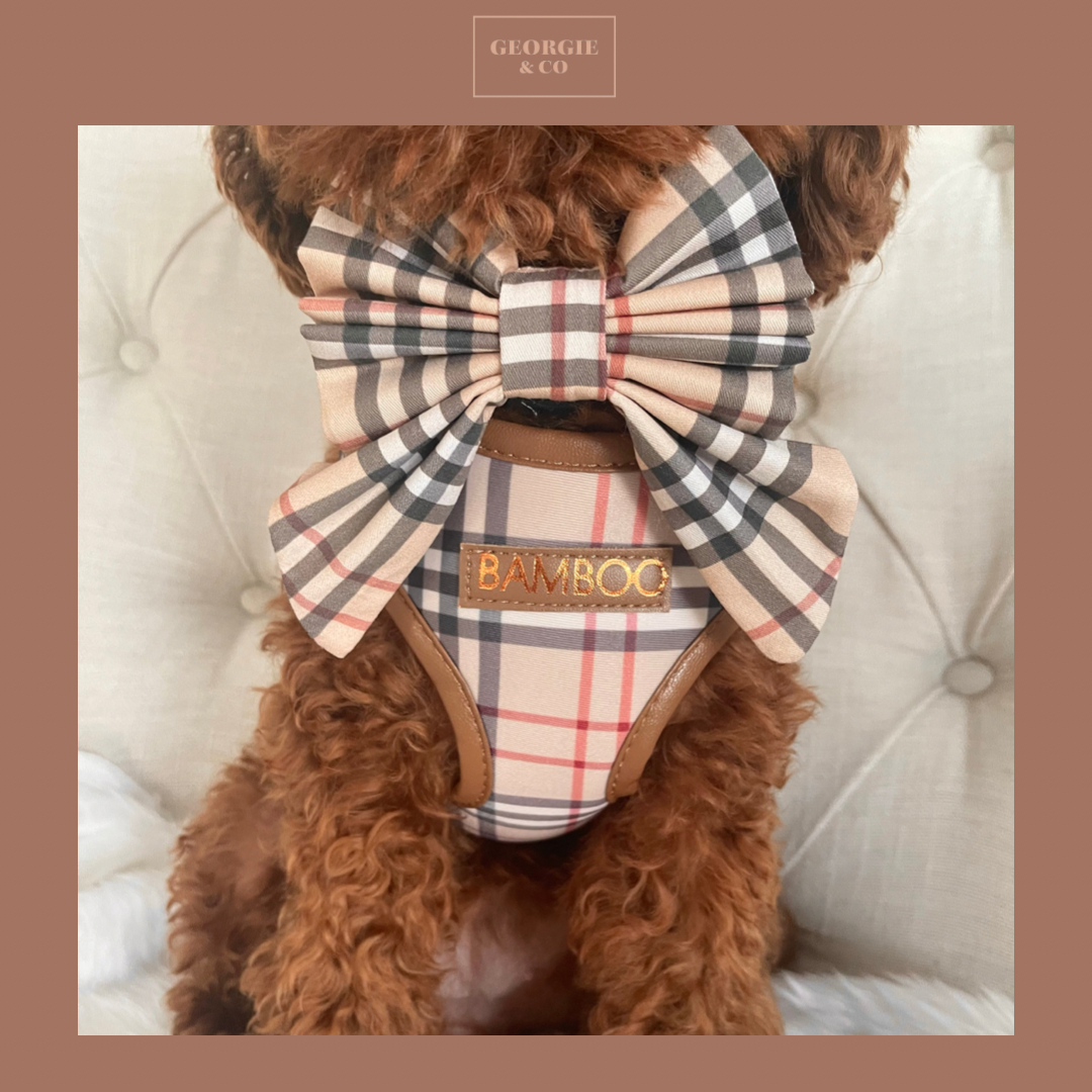 Shiloh Tartan Personalised Harness Set