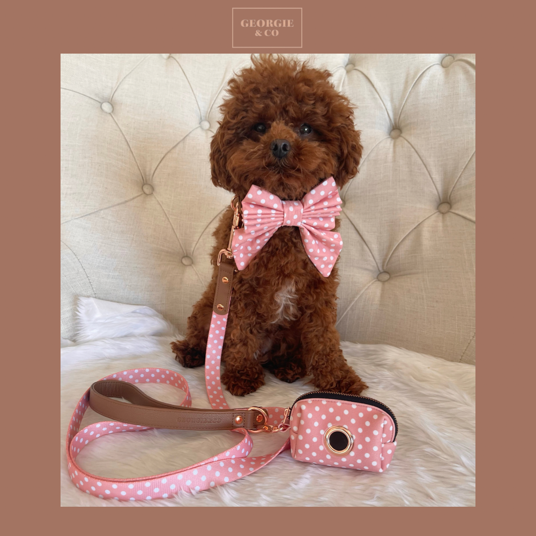 Luxury Melody Polka Dot Collar Set