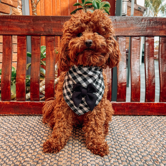 black plaid dog bandana with bow 