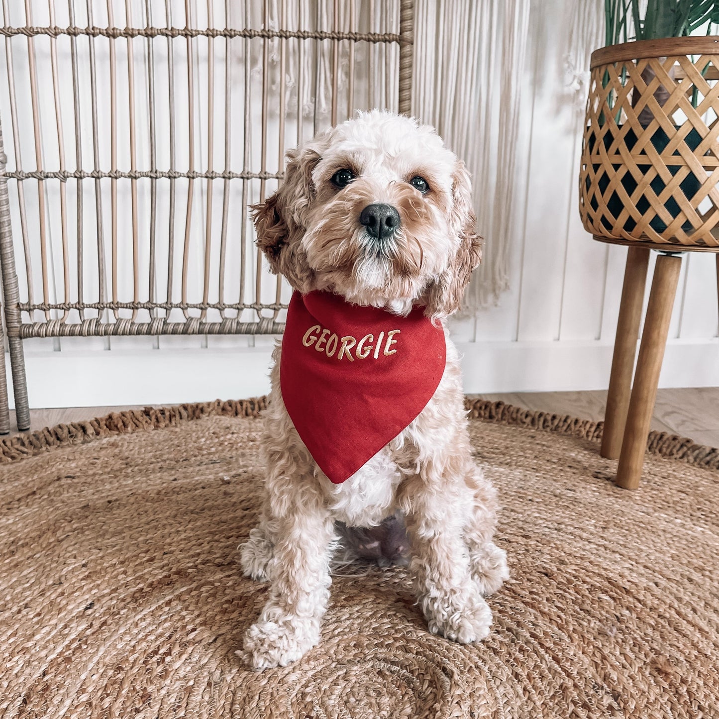 red over the collar dog bandana 