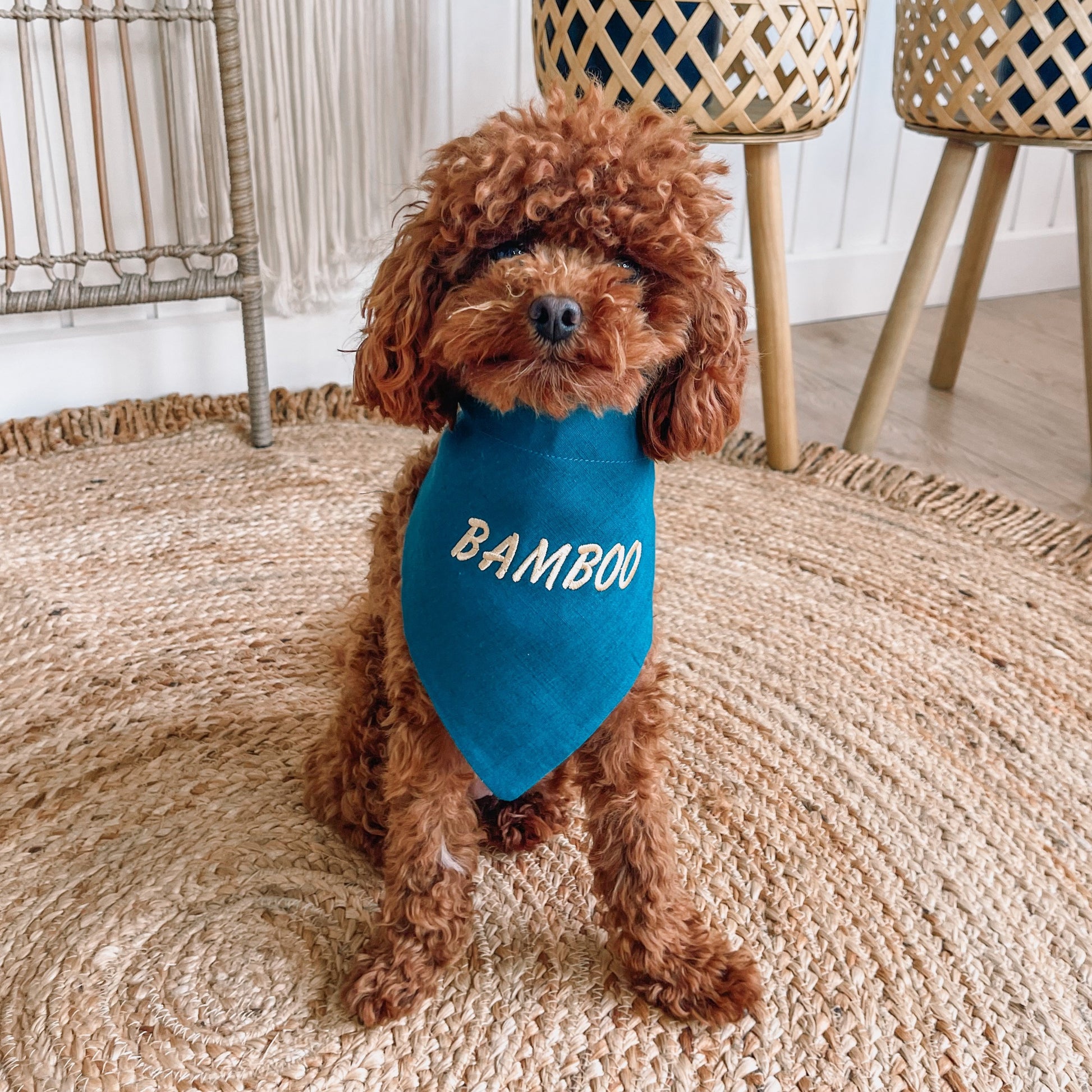 personalised dog bandana 