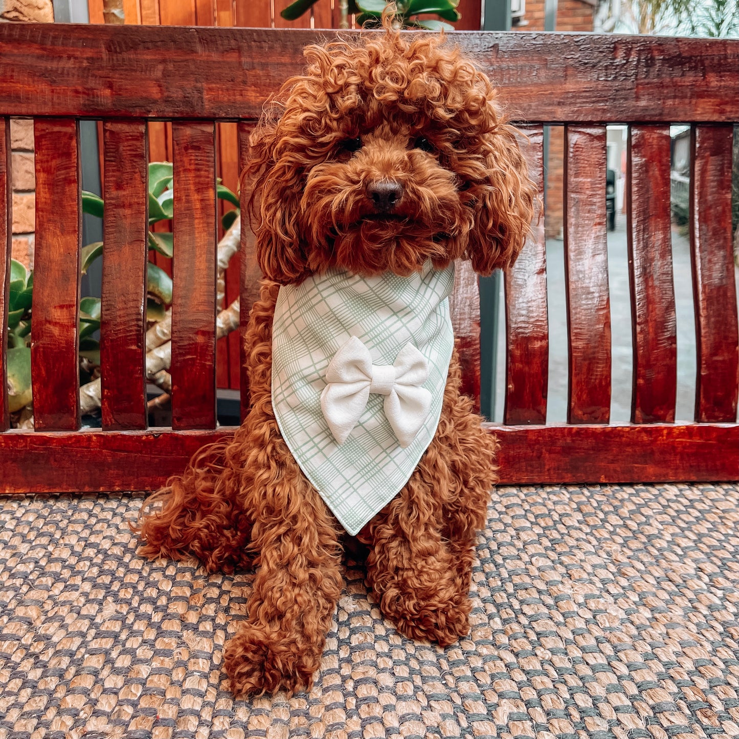 Charlie Green/White Triangle Bandana with Bow