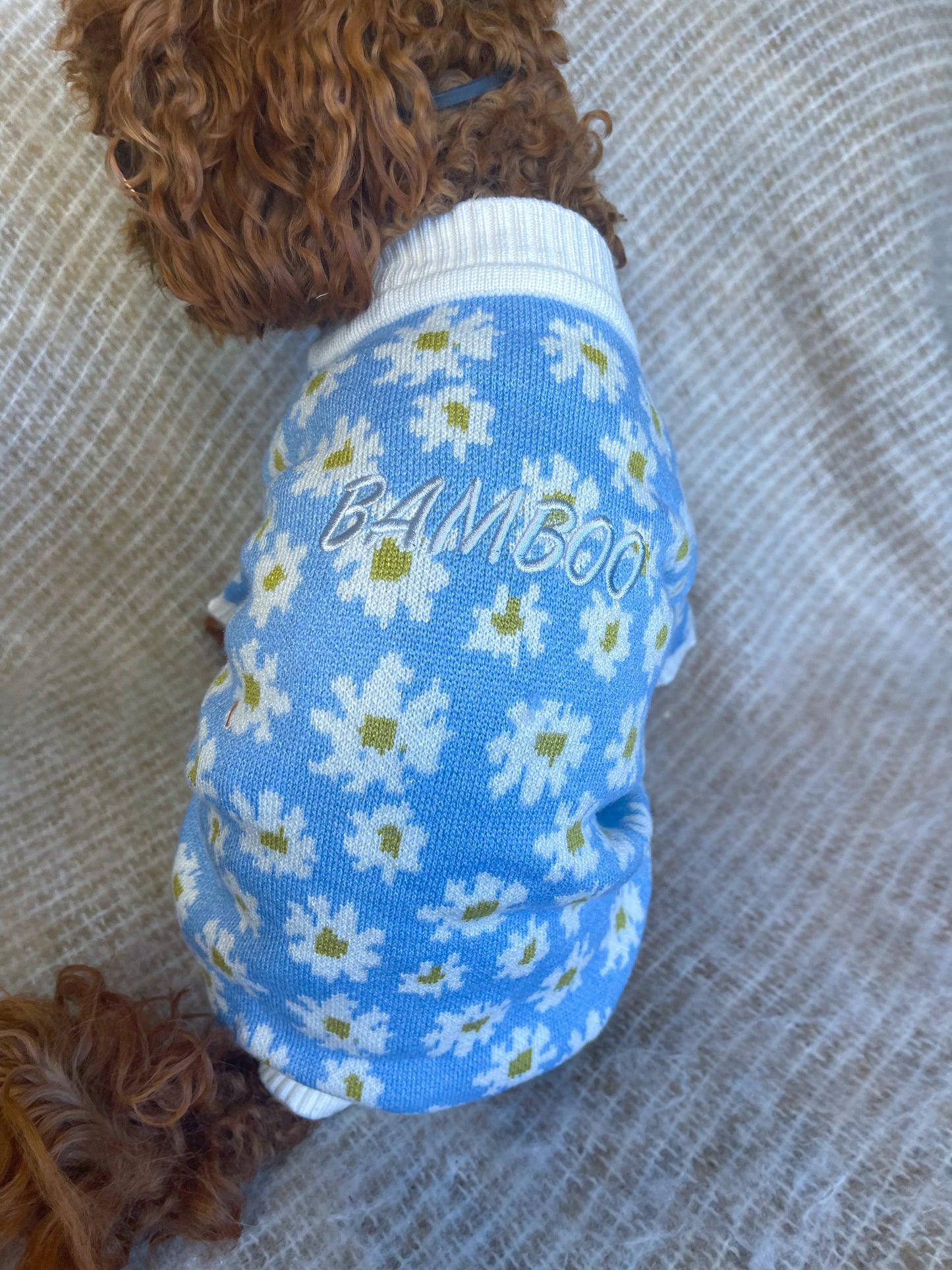 Lennox Personalised Dog Cardigan