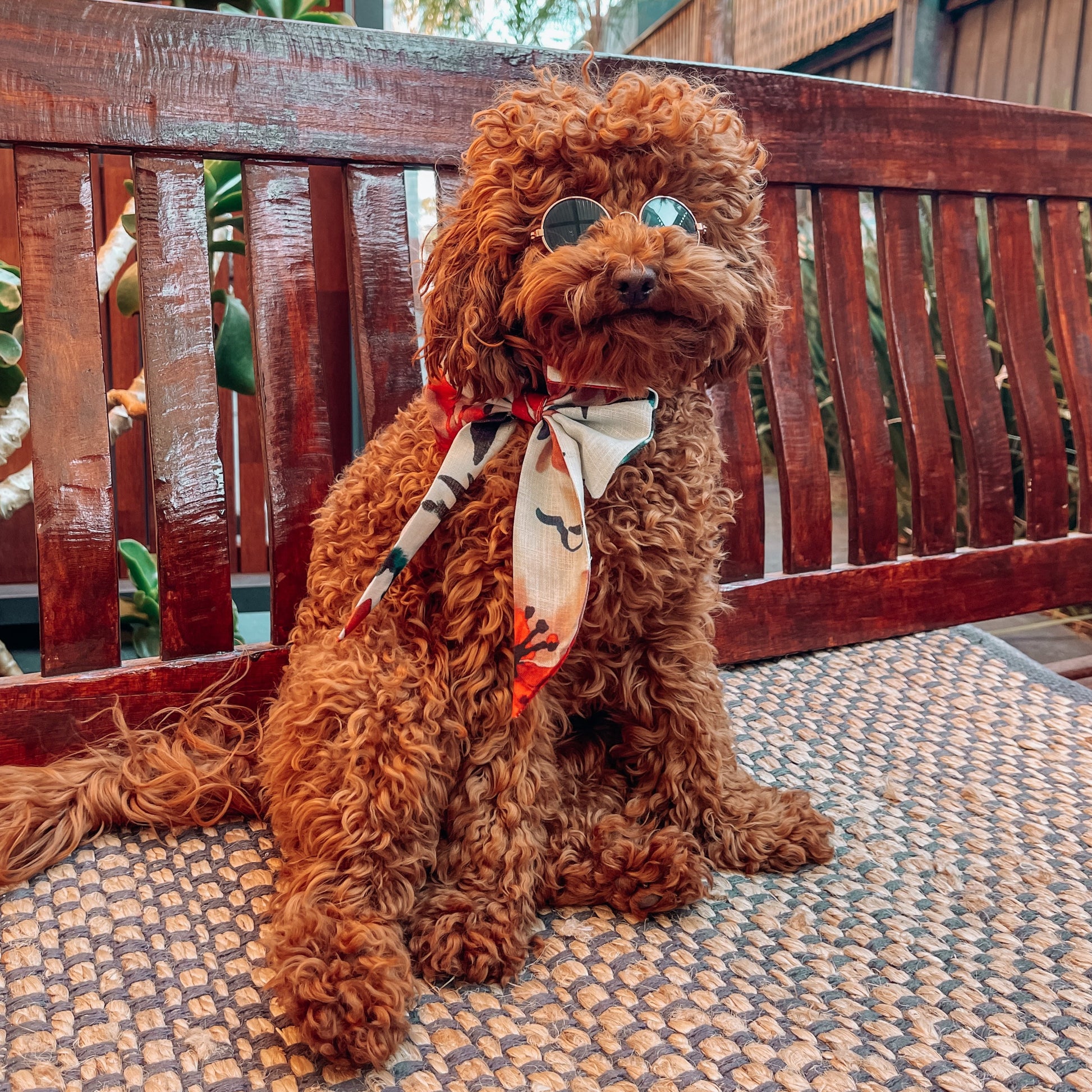 dog sailor bow tie 