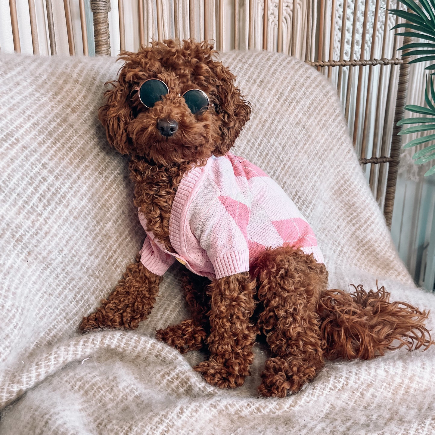 Gigi Pink Personalised Dog Cardigan