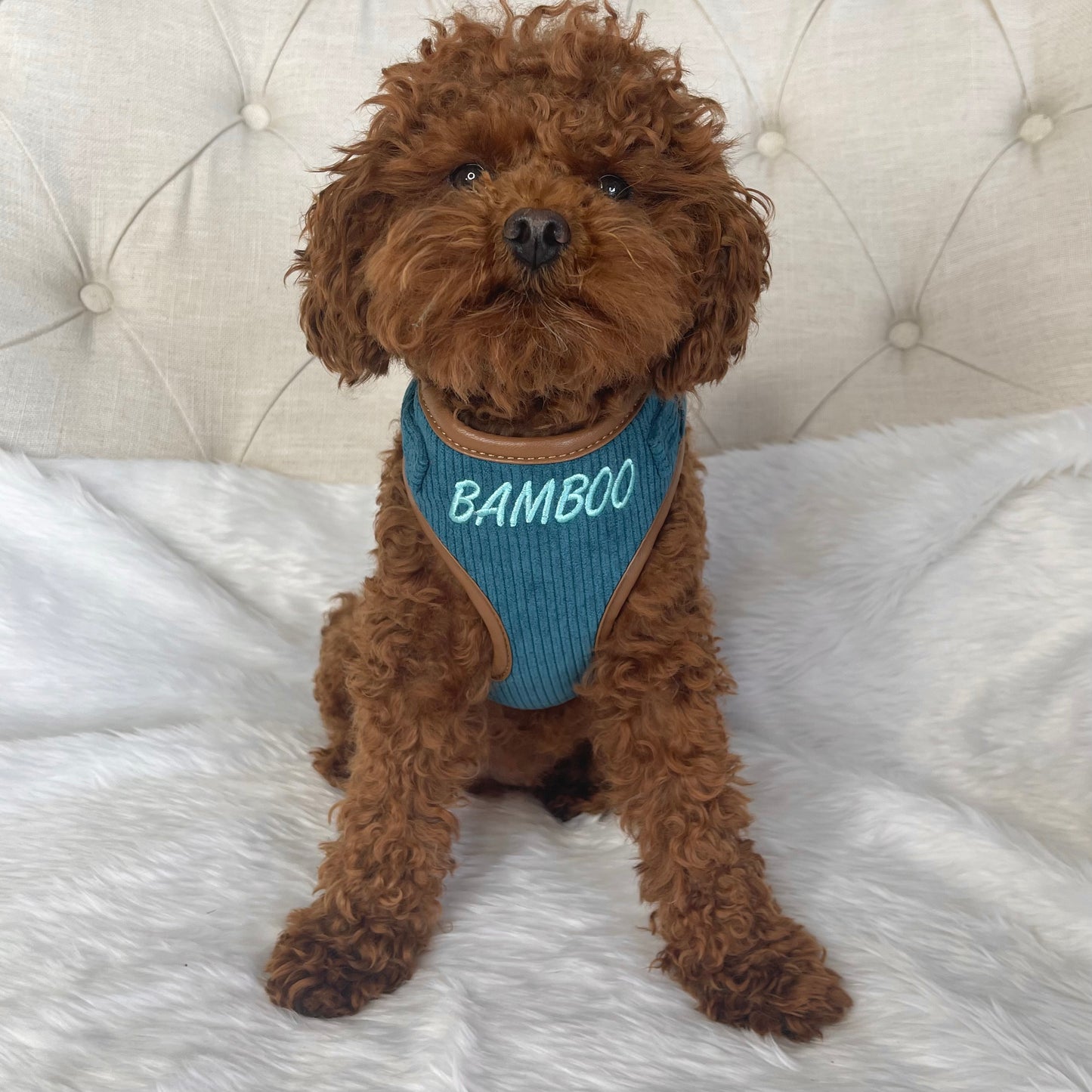 Barkley Luxury Blue Corduroy Personalised Harness Set