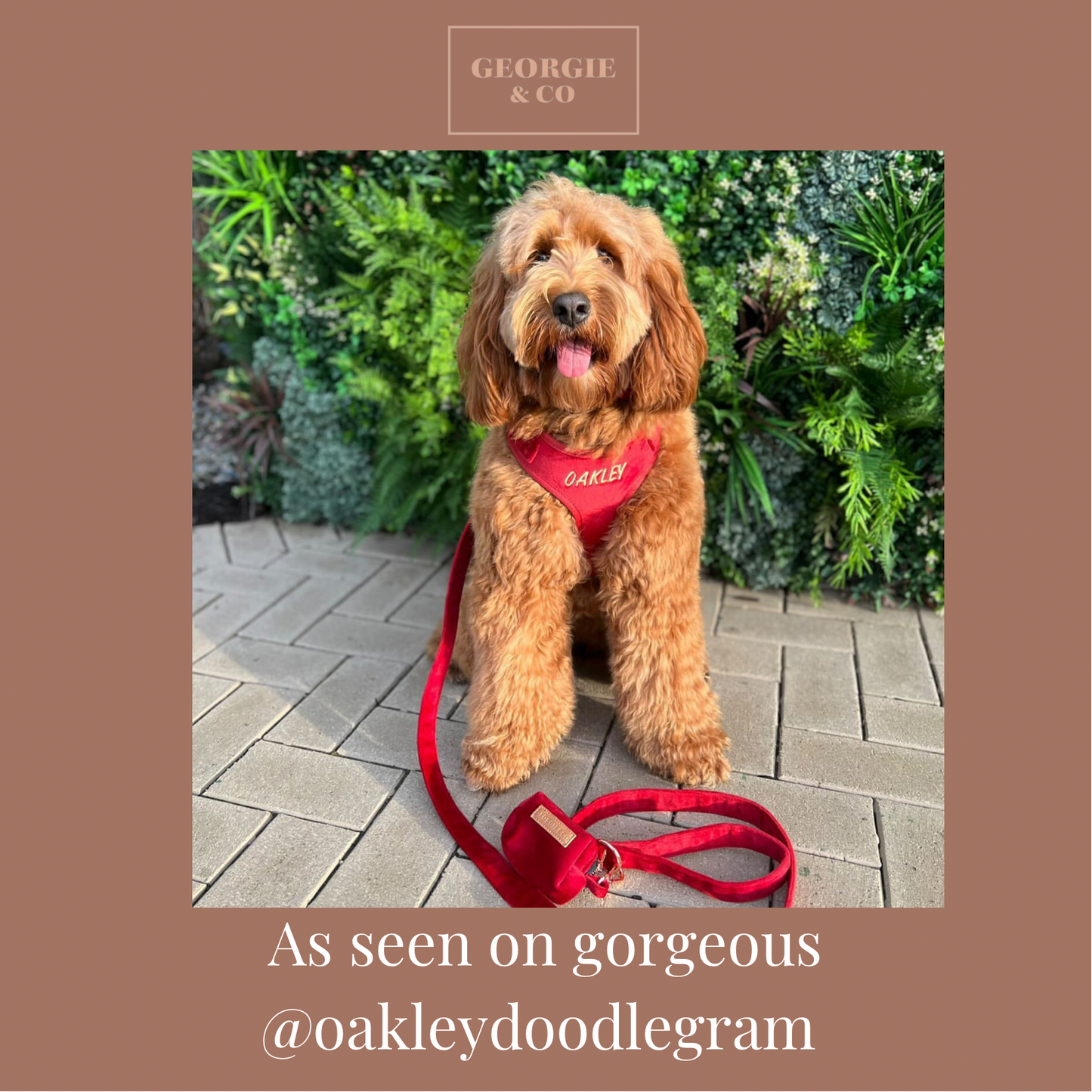 Addison Luxury Red Velvet Personalised Harness Set