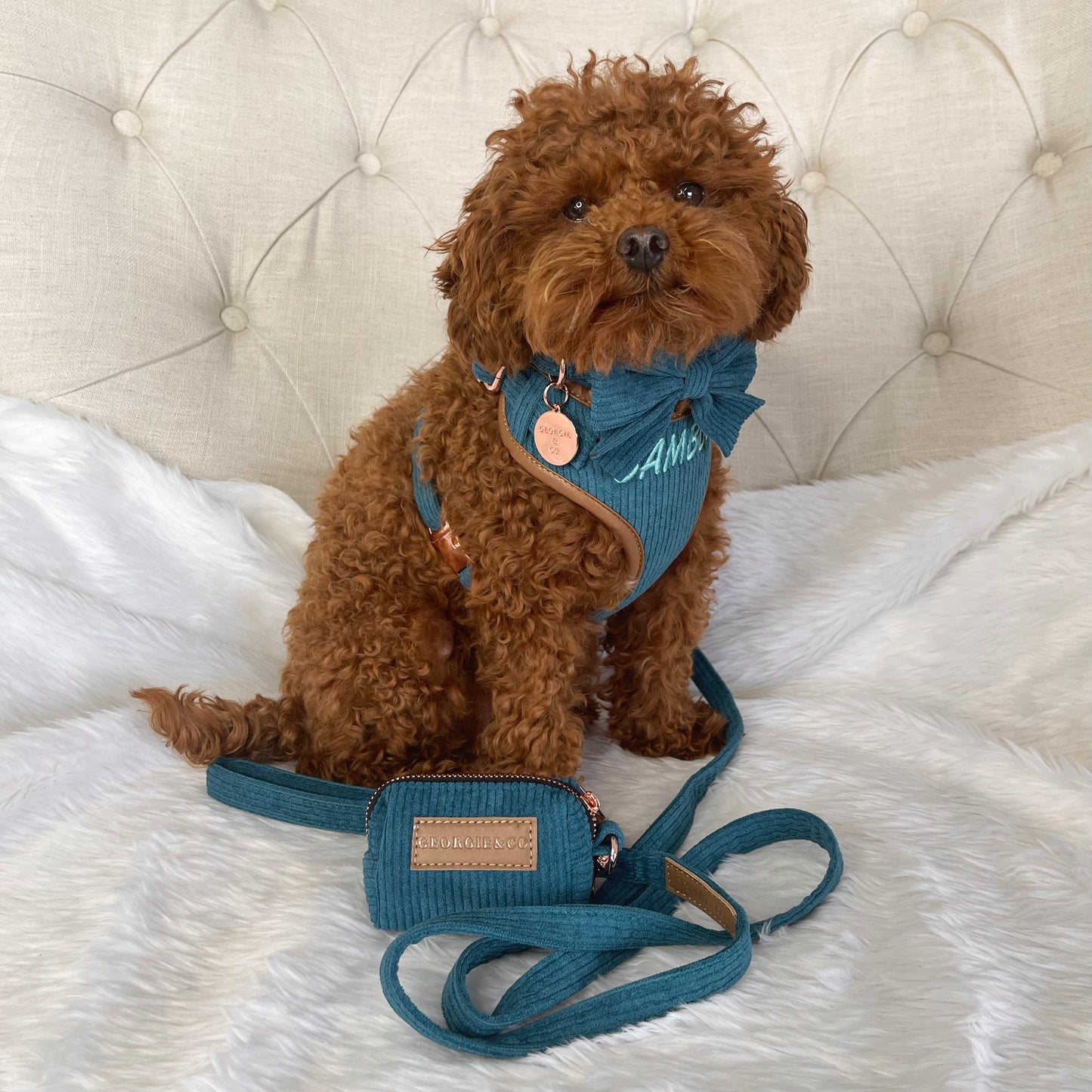 Barkley Luxury Blue Corduroy Personalised Harness Set