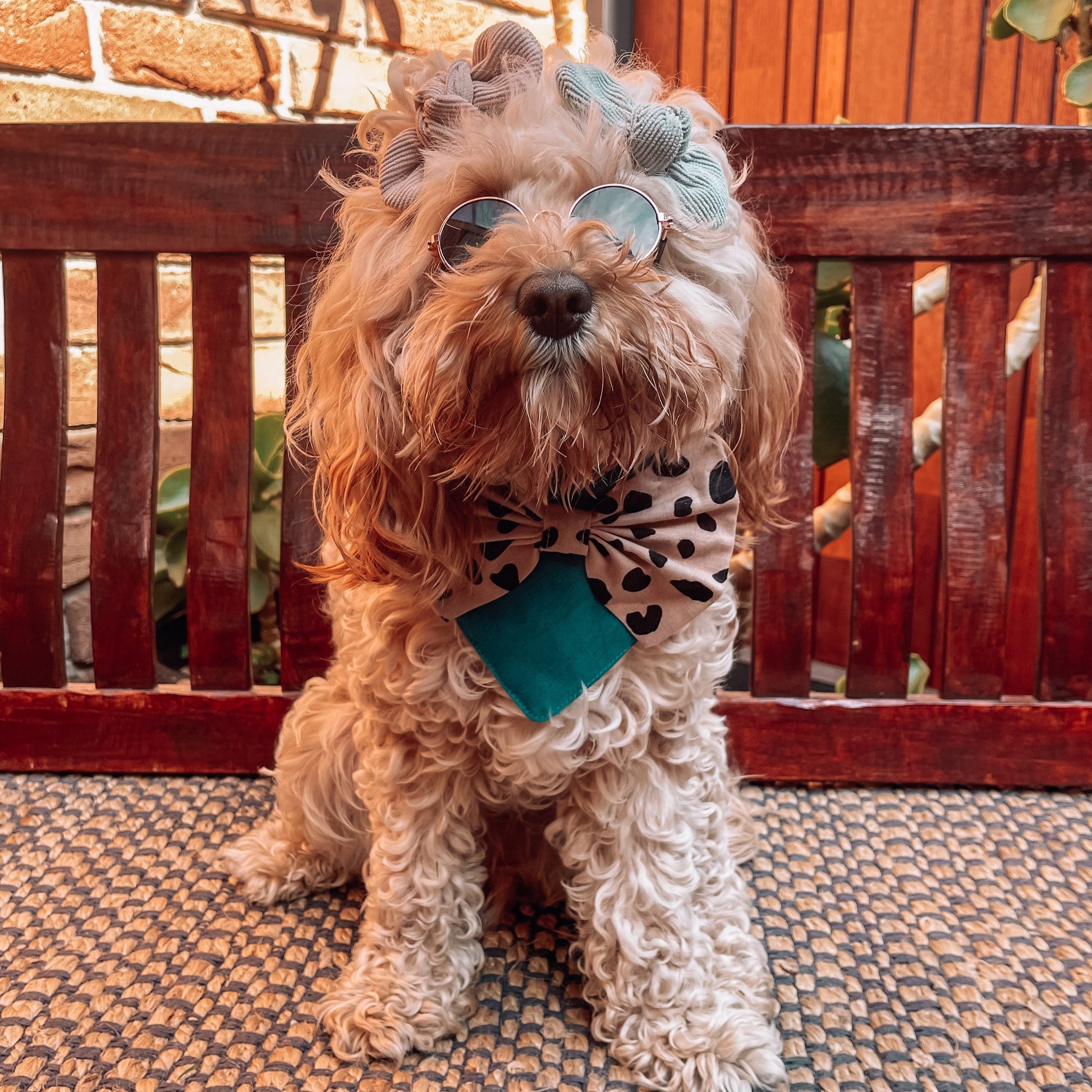 LUXURY DOG BANDANA 