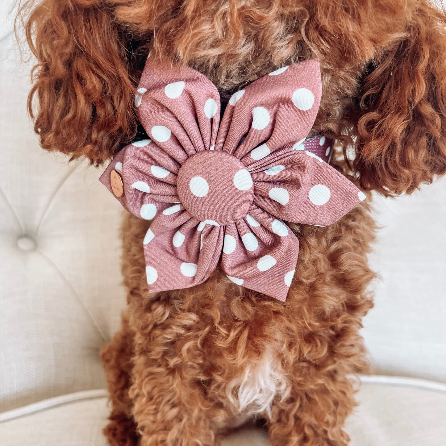 Brantley Polka Dot Flower Bow