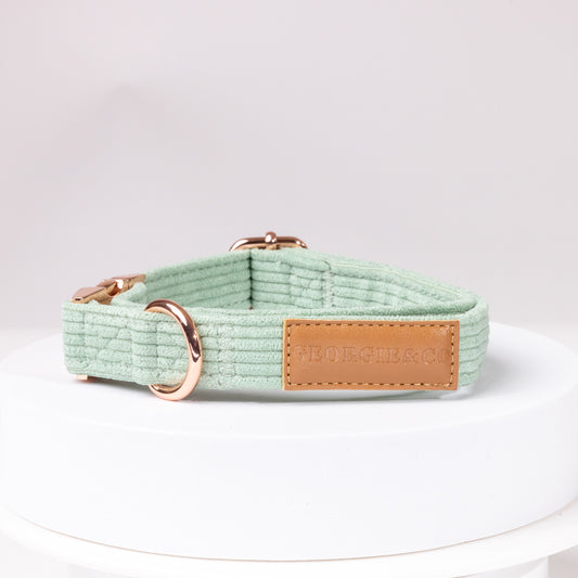 Keaton Luxury Corduory Green Collar