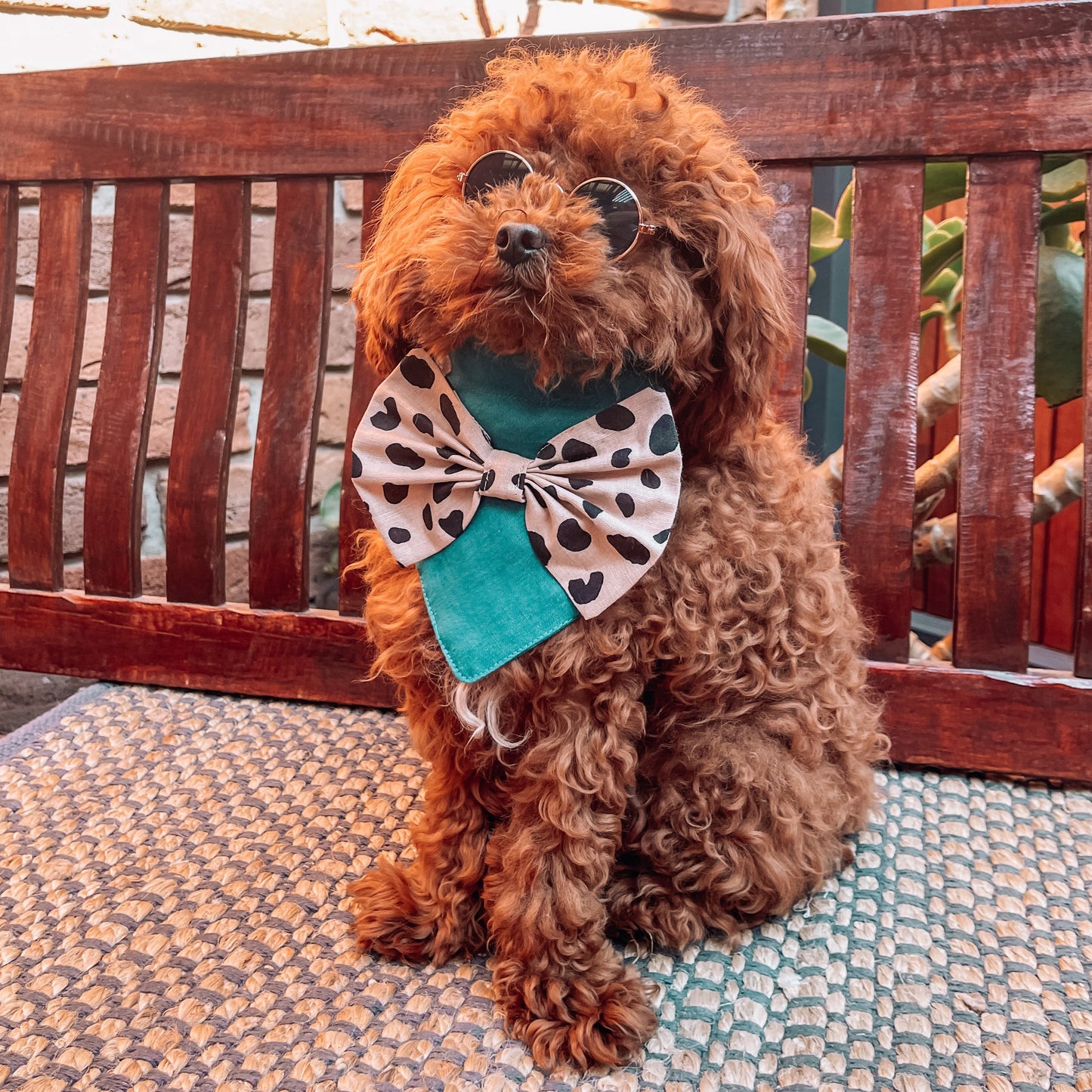 Pippa Luxury Over the Collar Bandana