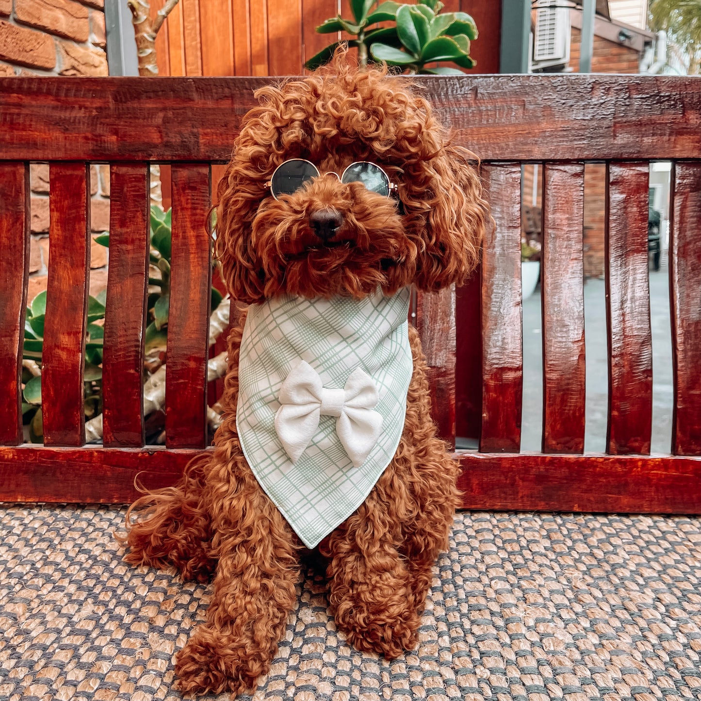 Charlie Green/White Triangle Bandana with Bow